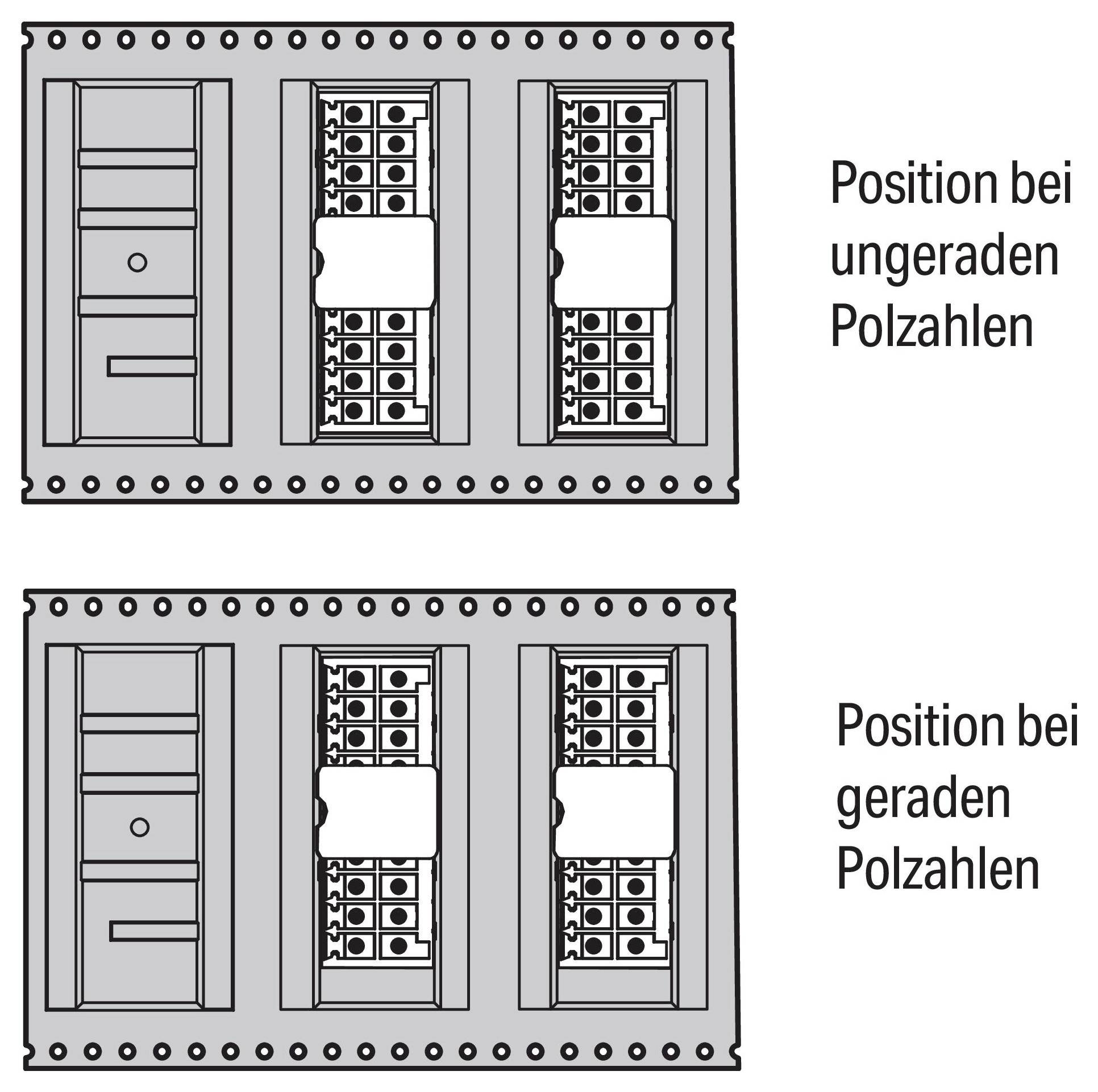 Technische Zeichnung eines elektrischen Steckers mit Abmessungen: 8,2 mm Breite, 7,7 mm Tiefe, 21,6 mm Höhe. Umfasst einen Drahteinsatzbereich.