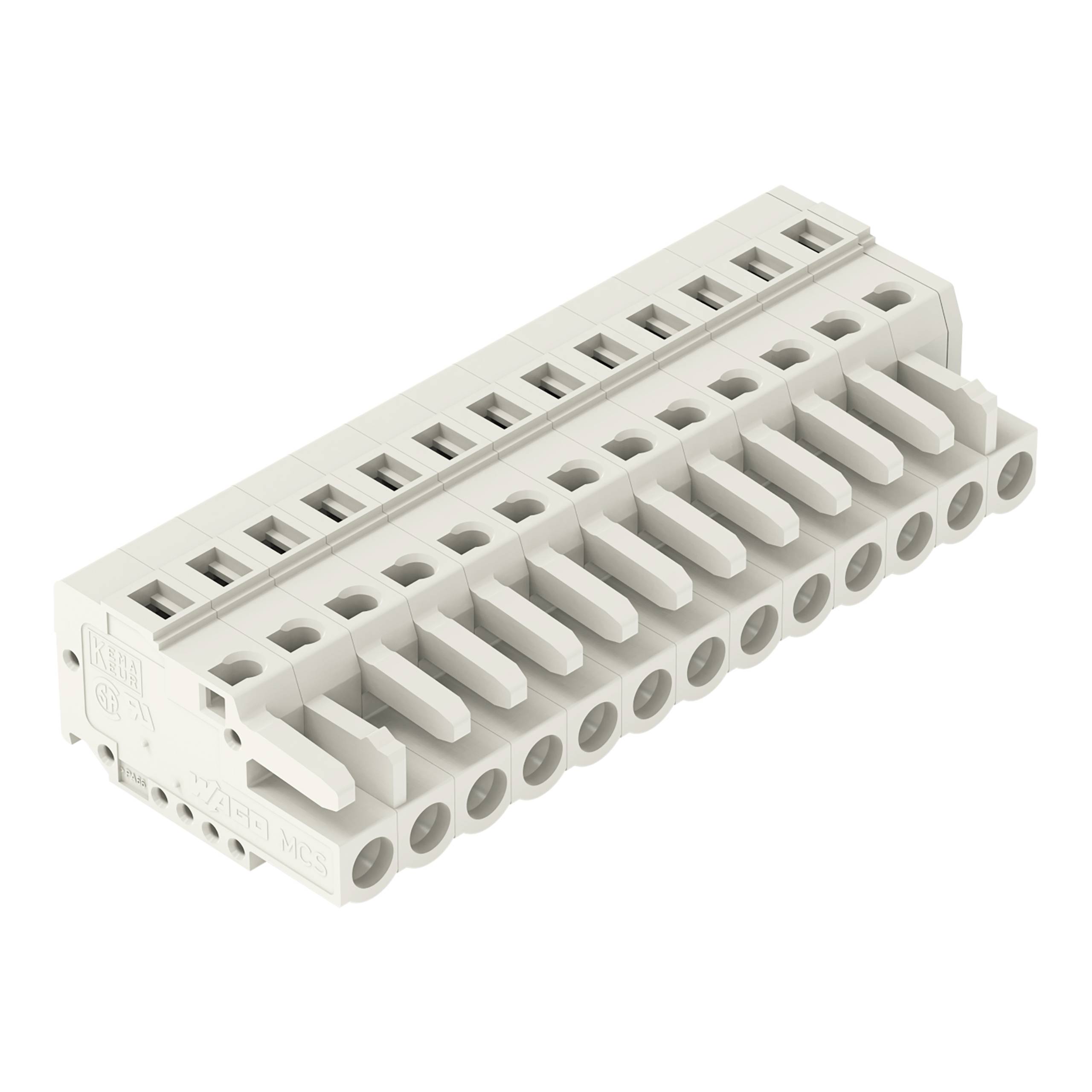 Ein Klemmleistenverbinder mit mehreren Schraubklemmen zum Verdrahten, gezeigt auf weißem Hintergrund, verwendet für elektrische Verbindungen.
