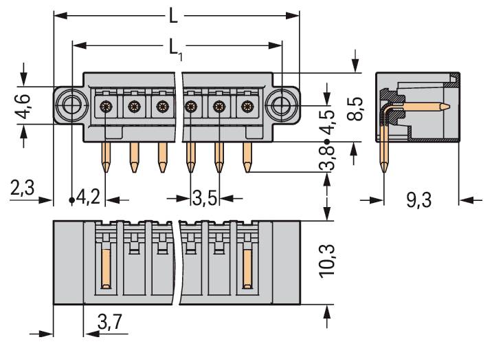 Technische Zeichnung eines Steckers mit beschrifteten Abmessungen, die Vorder- und Seitenansicht zeigen. Die Messungen umfassen Längen und Abstände.
