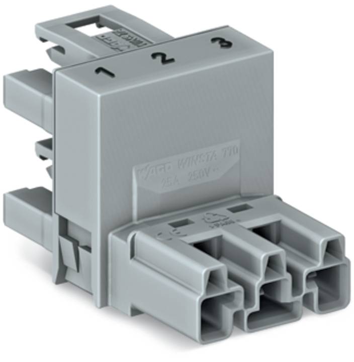 Ein grauer Elektrostecker mit drei beschrifteten Anschlüssen, nummeriert von 1 bis 3, ausgelegt für 250-V-Elektroverbindungen.