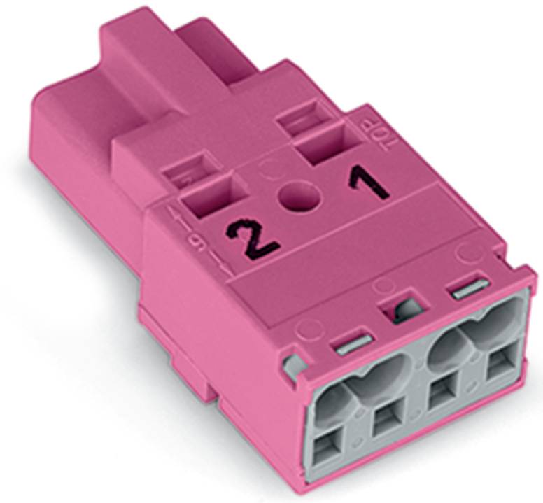 Ein rosa Ethernet-Stecker mit der Nummer „21