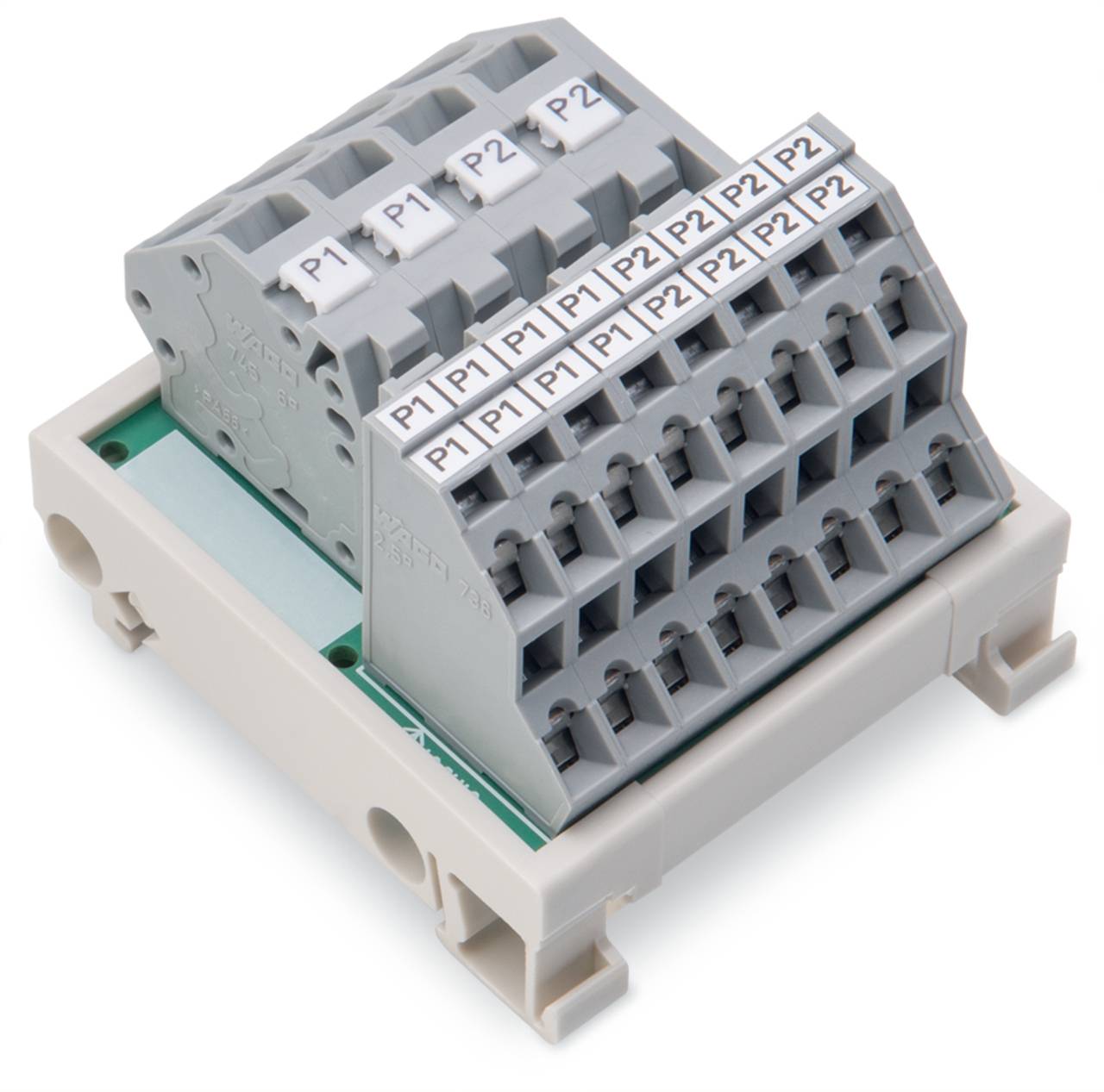 Ein graues Elektro-Anschlussblock mit mehreren beschrifteten Verbindungssteckplätzen ('P1' und 'P2'), montiert auf einer weißen Kunststoffbasis.
