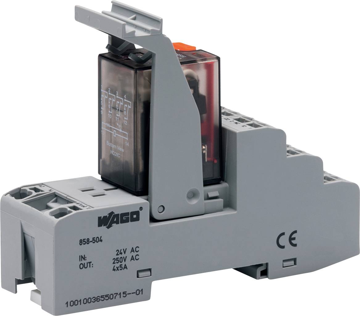 Relaismodul mit transparenter Abdeckung, montiert auf einer grauen DIN-Schienenbasis. Zeigt auf der Seite „24V AC, 250V AC