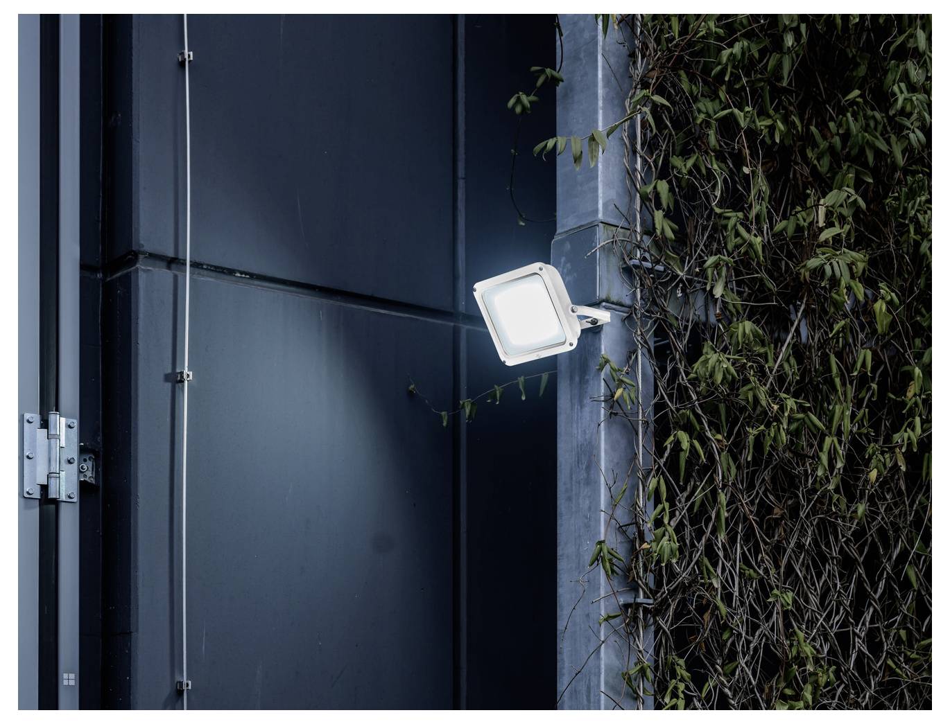 Weiße Außenflutlichter, die an einer dunklen Wand neben efeubedeckten Betonpaneelen montiert sind.