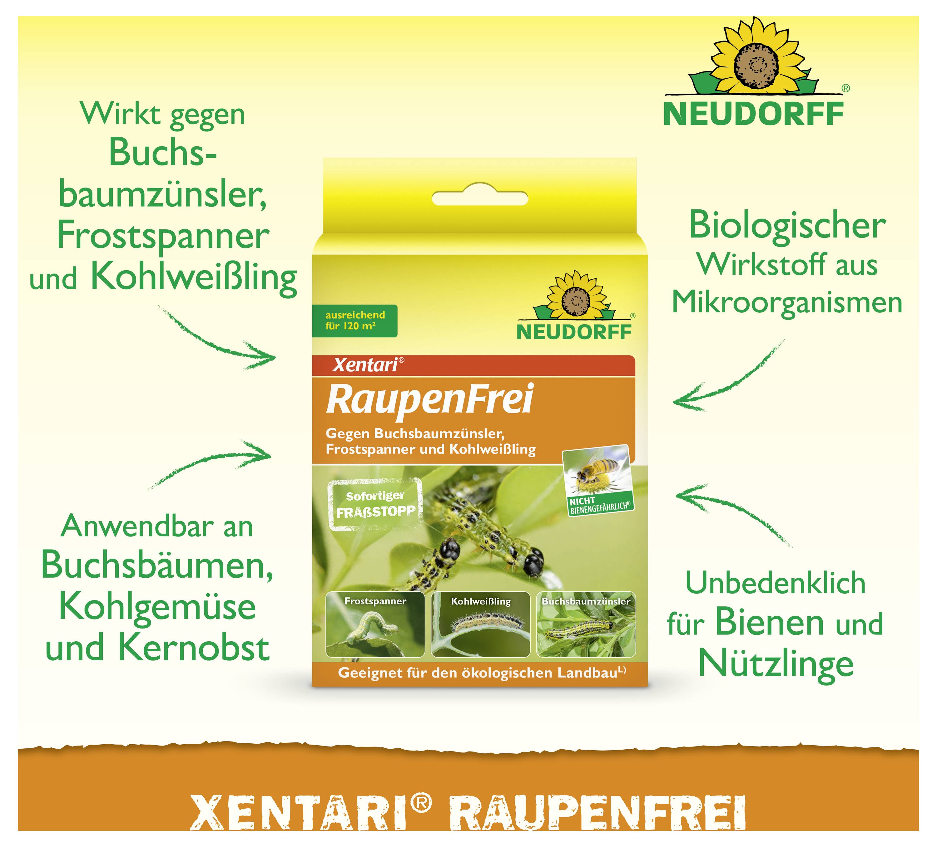 Werbegrafik für Neudorff Xentari RaupenFrei: Mittel gegen Buchsbaumzünsler, Frostspanner und Kohlweißling; biologischer Wirkstoff, bienenfreundlich.