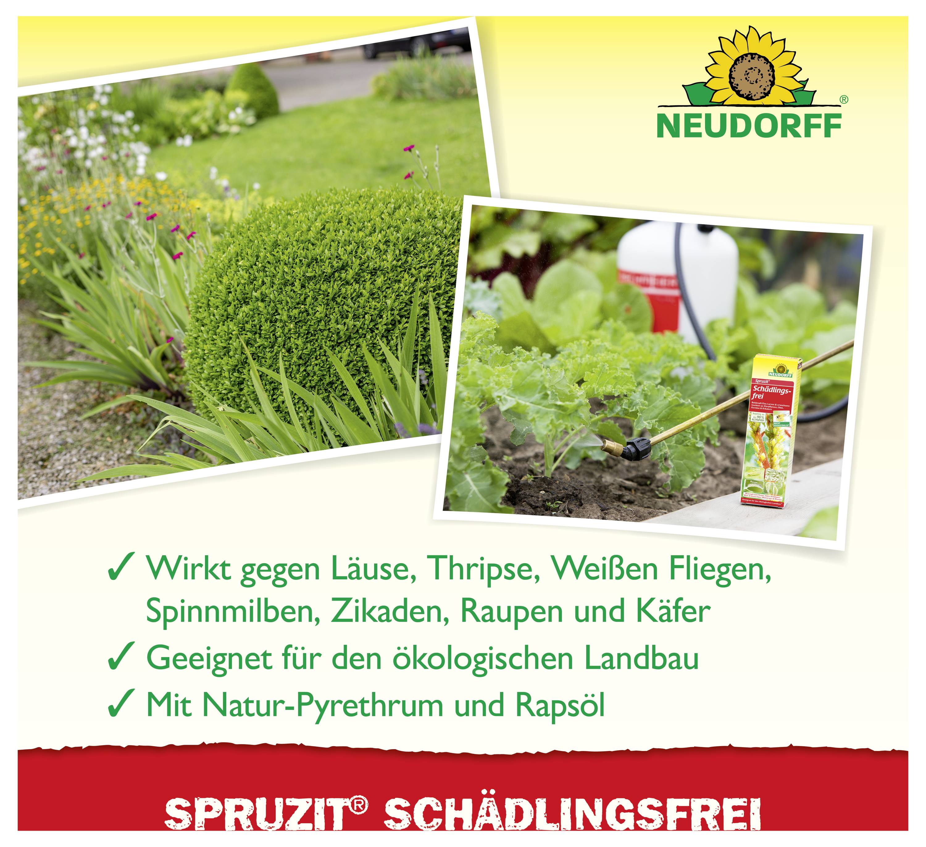 Werbegrafik für Neudorff: Sprühen im Garten gegen Schädlinge wie Läuse, Thripse und Weiße Fliegen; ökologisch landbaulich geeignet.