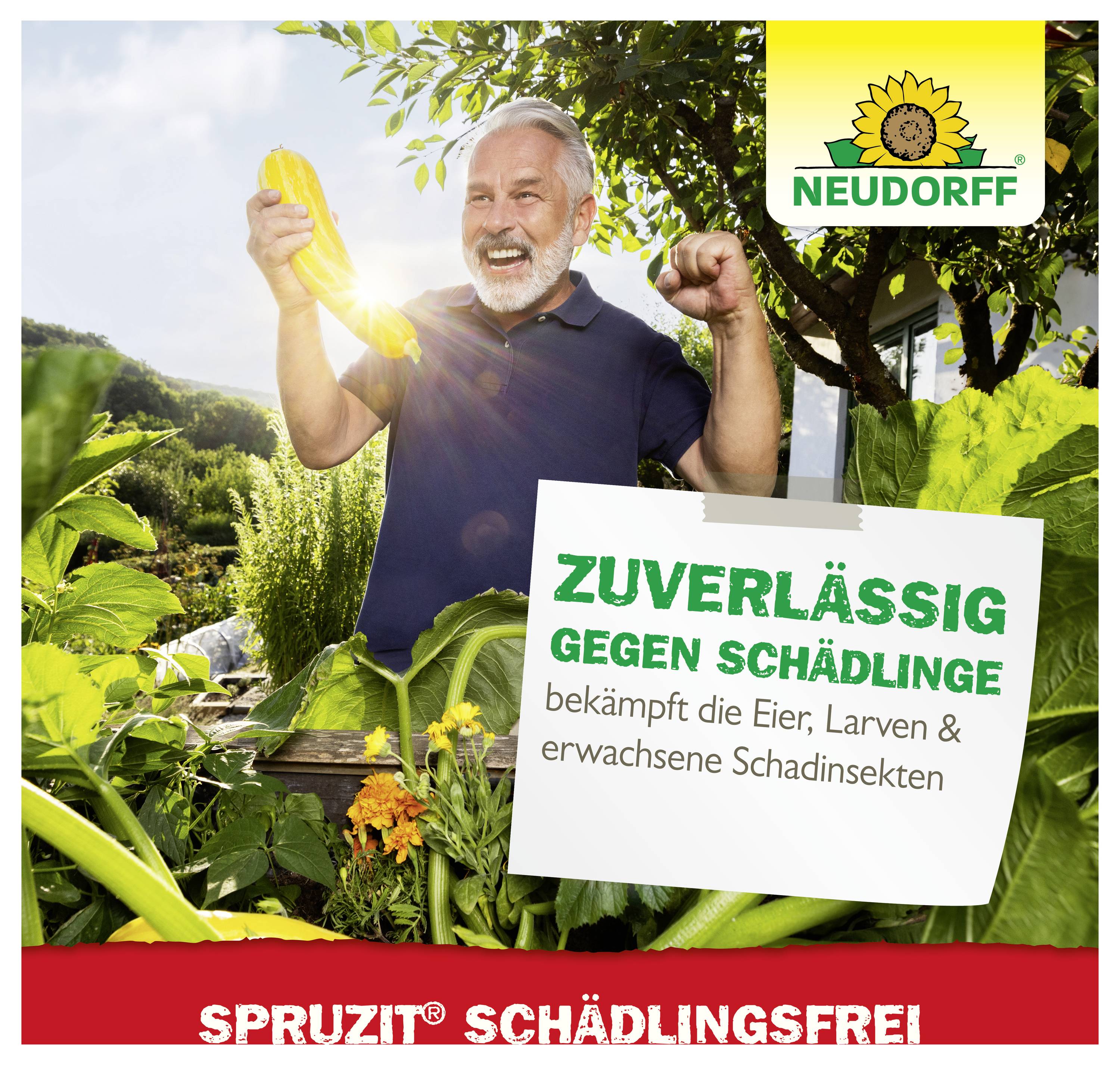 Werbeposter: Lächelnder Mann im Garten hält eine gelbe Schote; Text bewirbt Neudorff Spruzit als zuverlässig gegen Schädlinge.