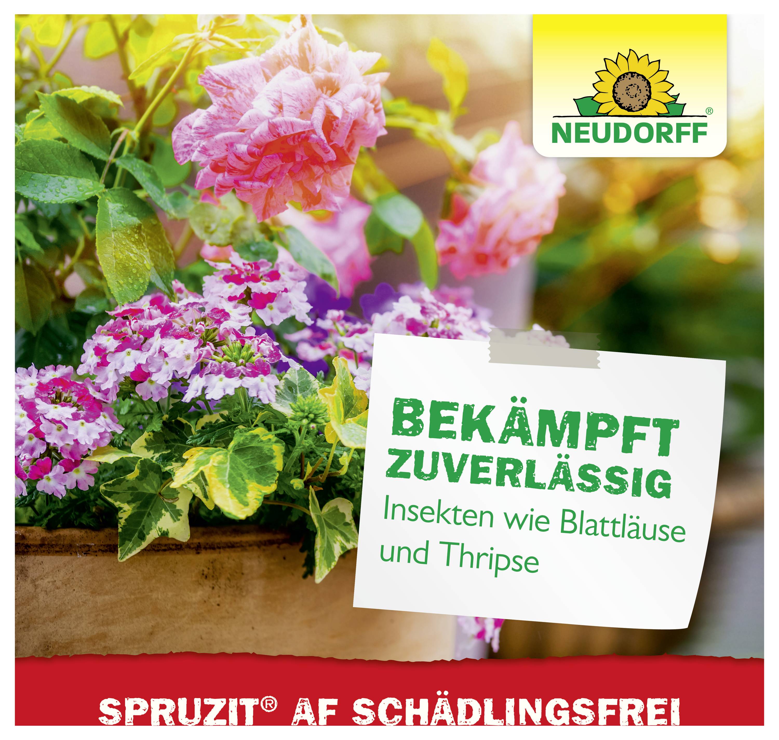 Werbeanzeige für Neudorff Spruzit AF Schädlingsfrei: behandelt Blattläuse und Thripse auf Blühpflanzen; Text 'BEKÄMPFT ZUVERLÄSSIG'.
