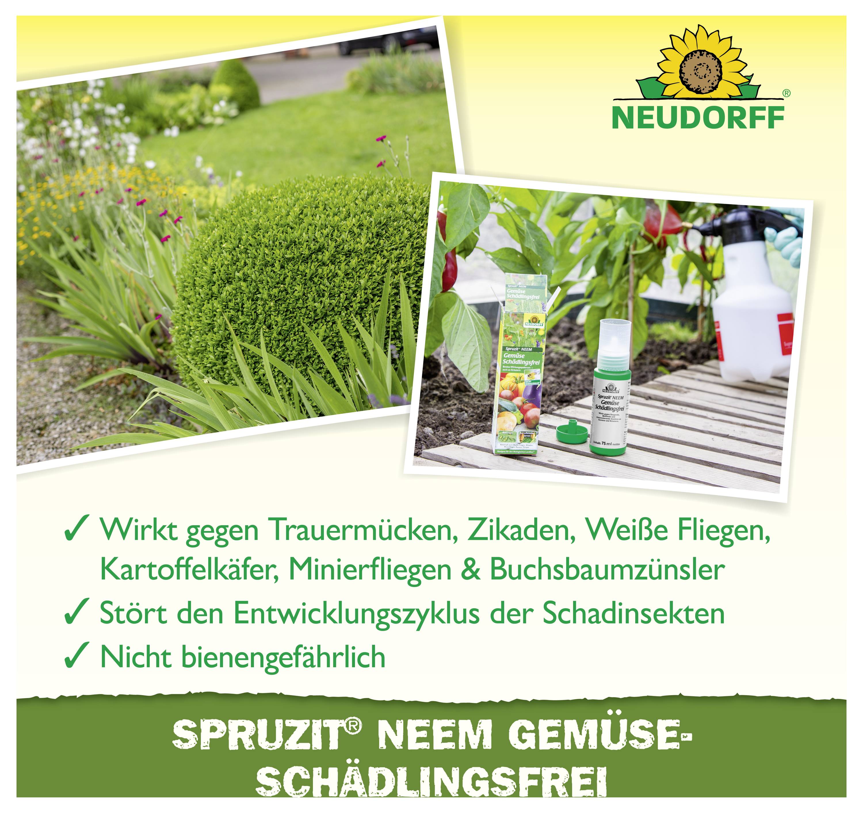 Werbeanzeige für Neudorff Spruzit Neem Gemüseschädlingsfrei; zeigt Gartenpflanzen und das Spray, wirksam gegen verschiedene Schädlinge und nicht bienengefährlich.