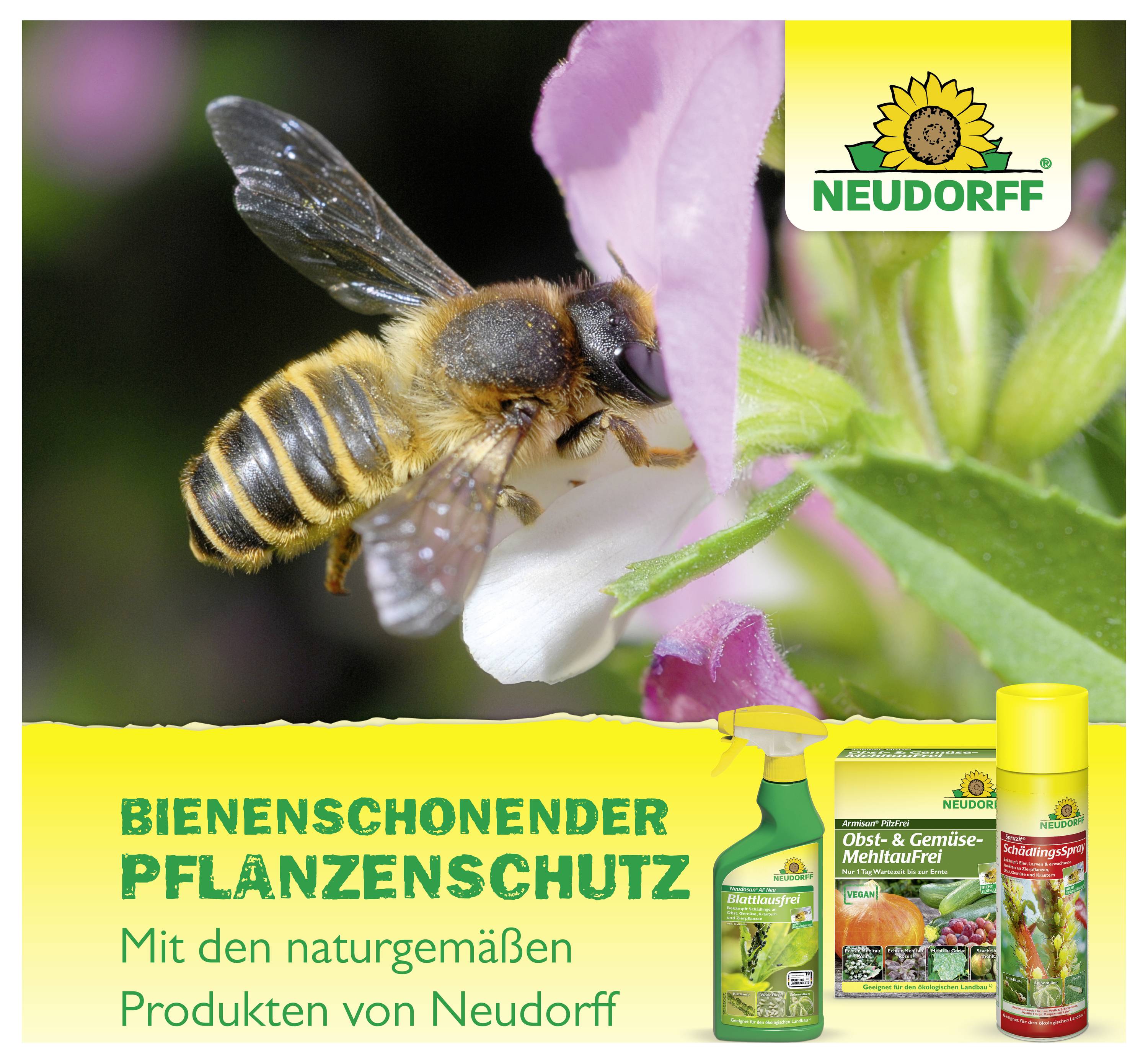 Werbeanzeige für Neudorff: Biene an Blüte, darunter Text 'BIENENSCHONENDER PFLANZENSCHUTZ' und Produktverpackungen für naturgemäßen Pflanzenschutz.