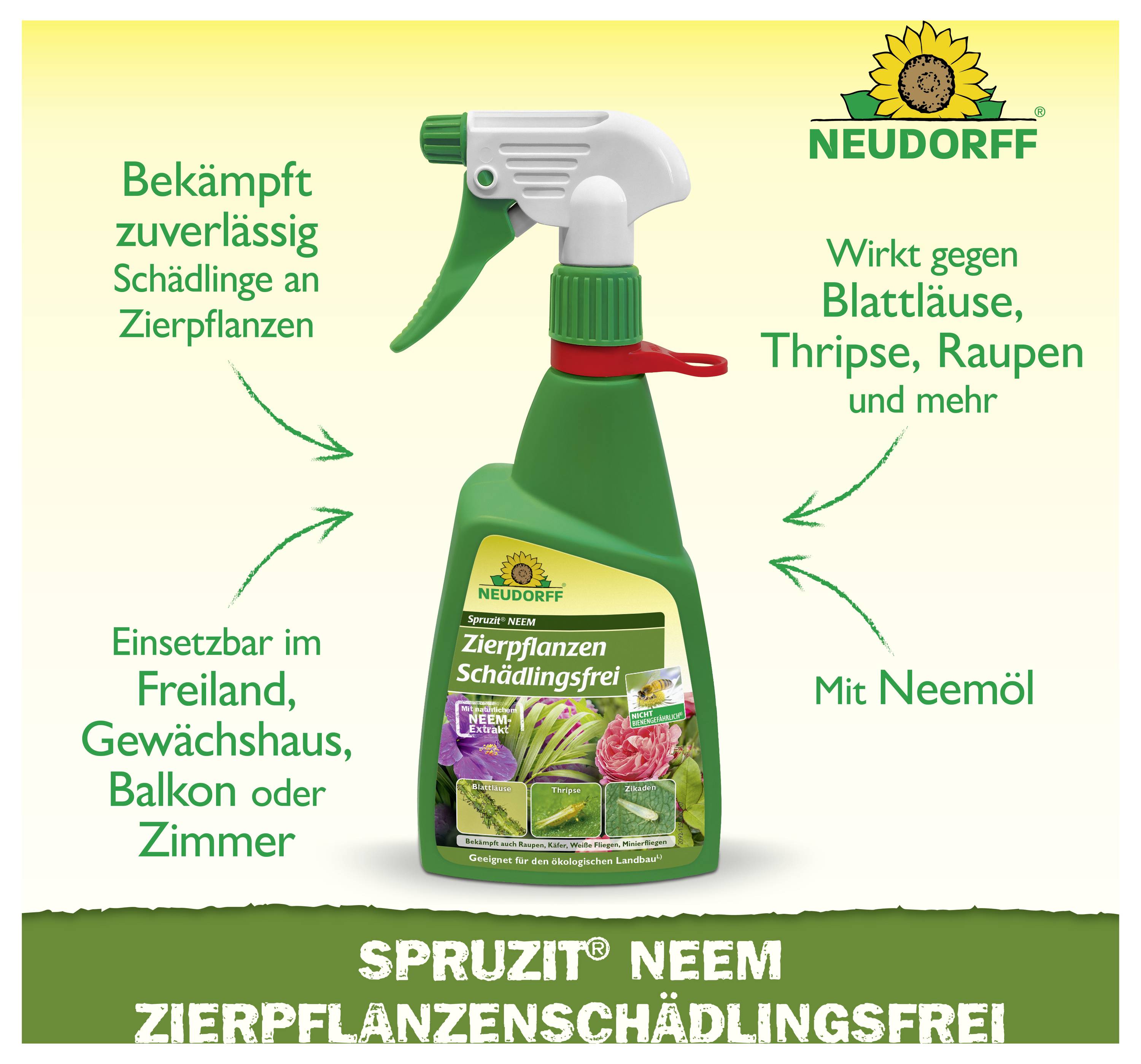 Werbeabbildung eines Neudorff-Sprays 'Spruzit Neem': Pflanzenschutzmittel gegen Blattläuse, Thripse und Raupen, für Zierpflanzen im Freiland, Gewächshaus, Balkon oder Zimmer.