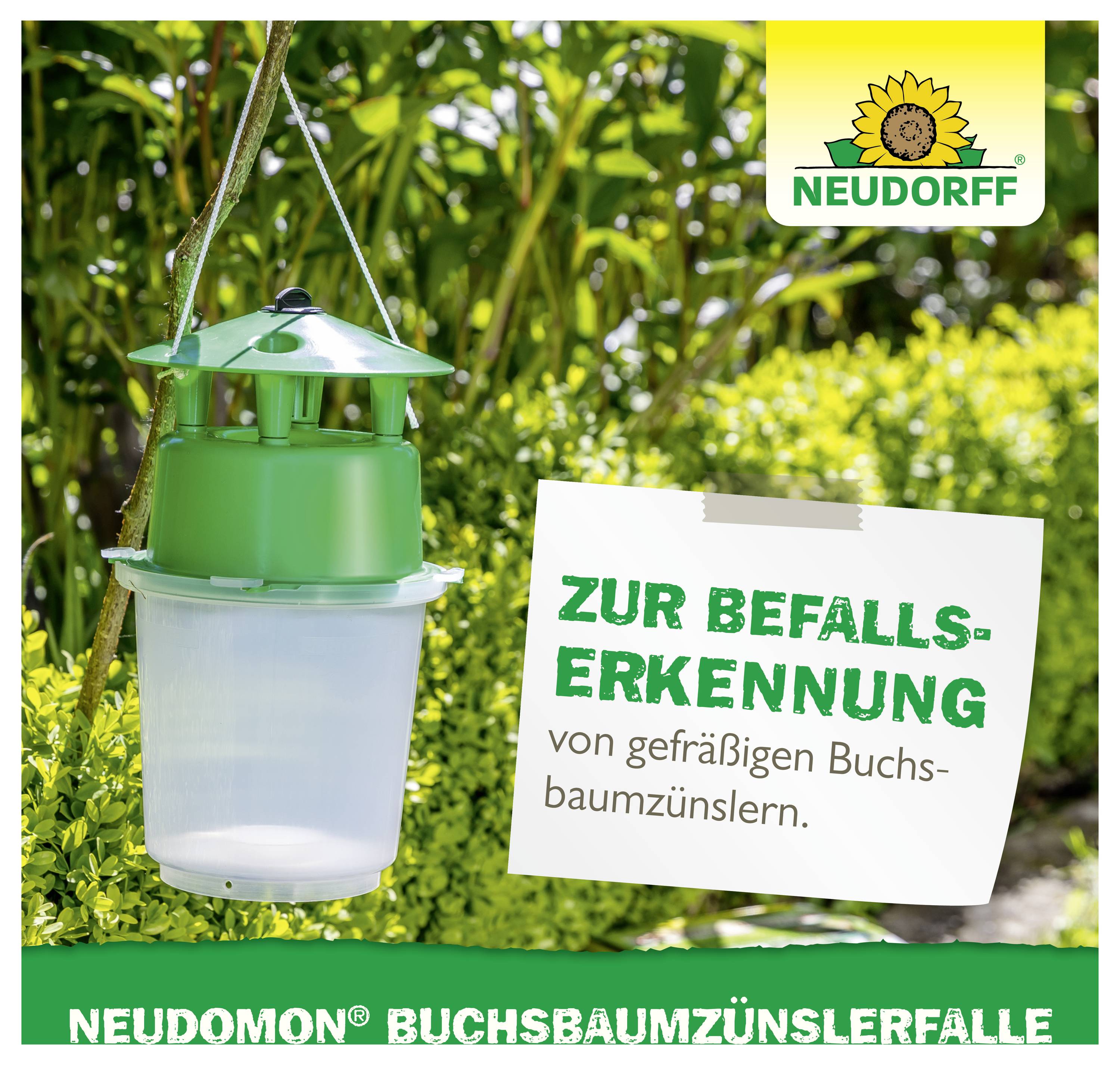 Grüne Neudorff-Falle im Garten zur Befallserkennung von gefräßigen Buchsbaumzünslern; Text: 'Zur Befallserkennung von gefräßigen Buchsbaumzünslern.'