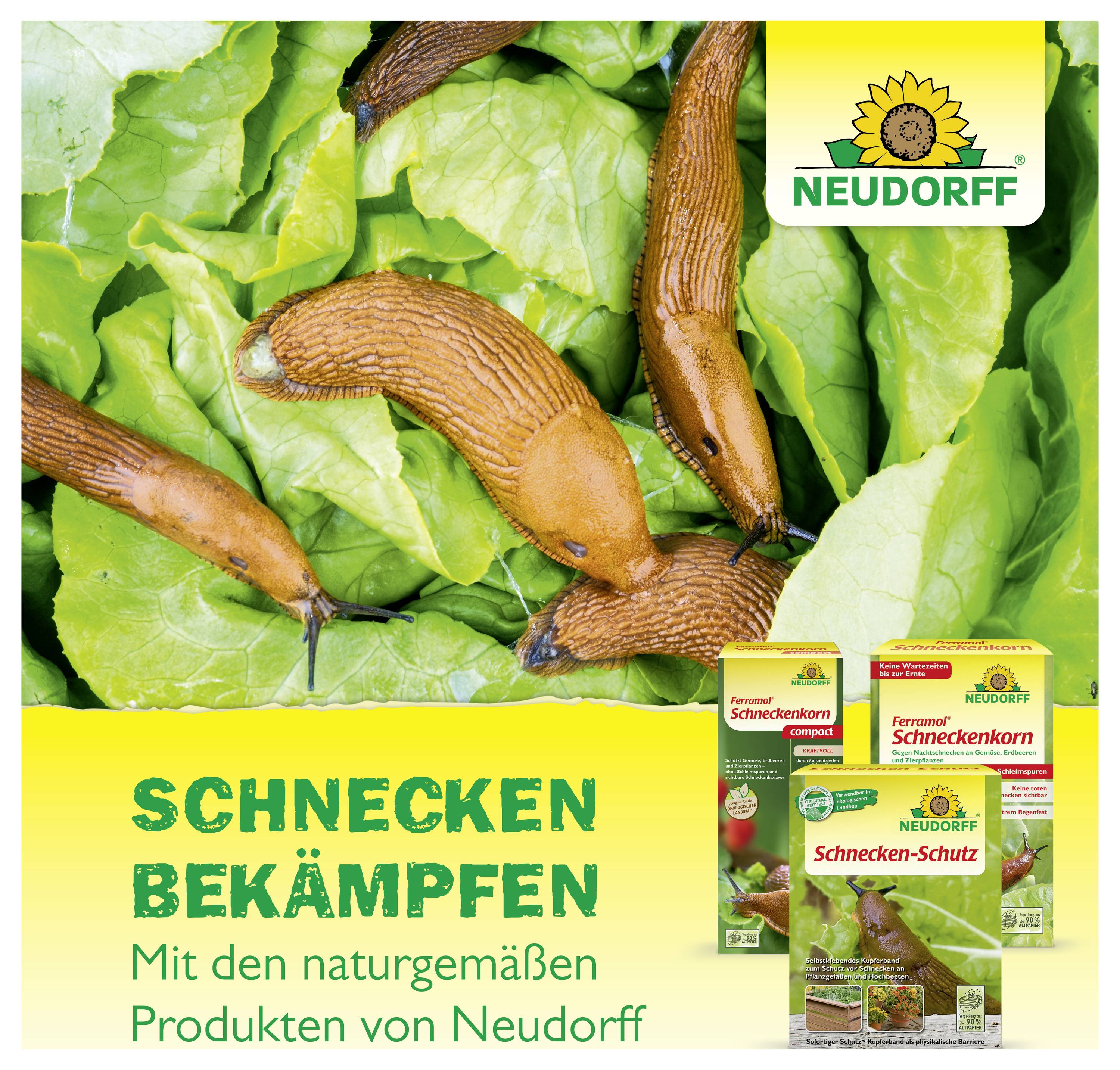 Werbeanzeige für Neudorff: Schnecken auf Salat, darunter der Text 'Schnecken bekämpfen' und Produktverpackungen für Schnecken-Schutz.
