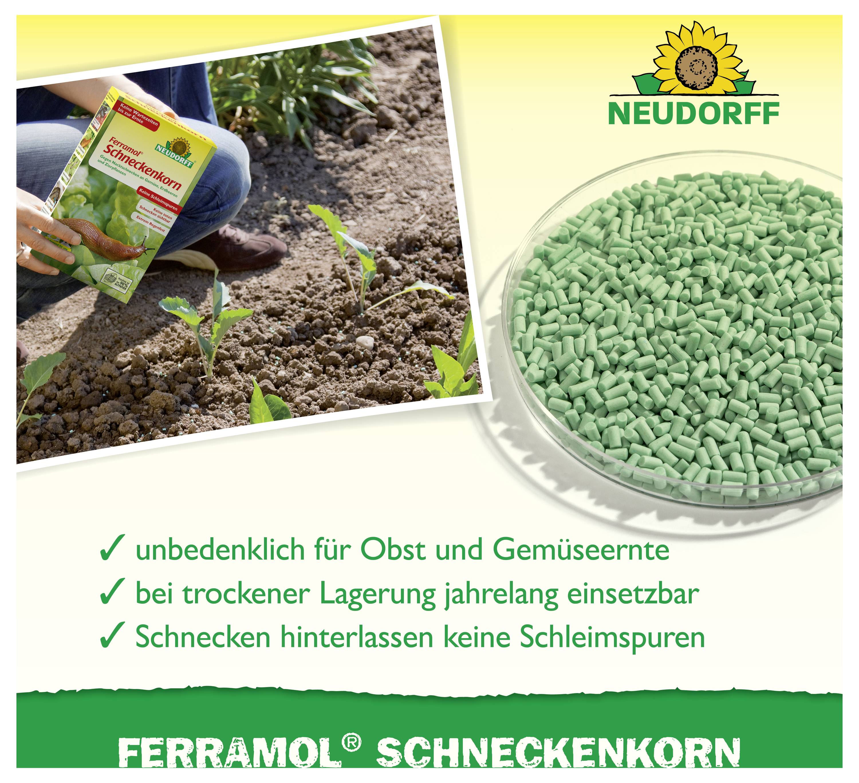 Werbung für 'Ferramol Schneckenkorn' von Neudorff: Granulat im Schälchen, Anwendung im Garten; Text nennt unbedenklich für Obst und Gemüse, lange lagerbar, keine Schleimspuren.