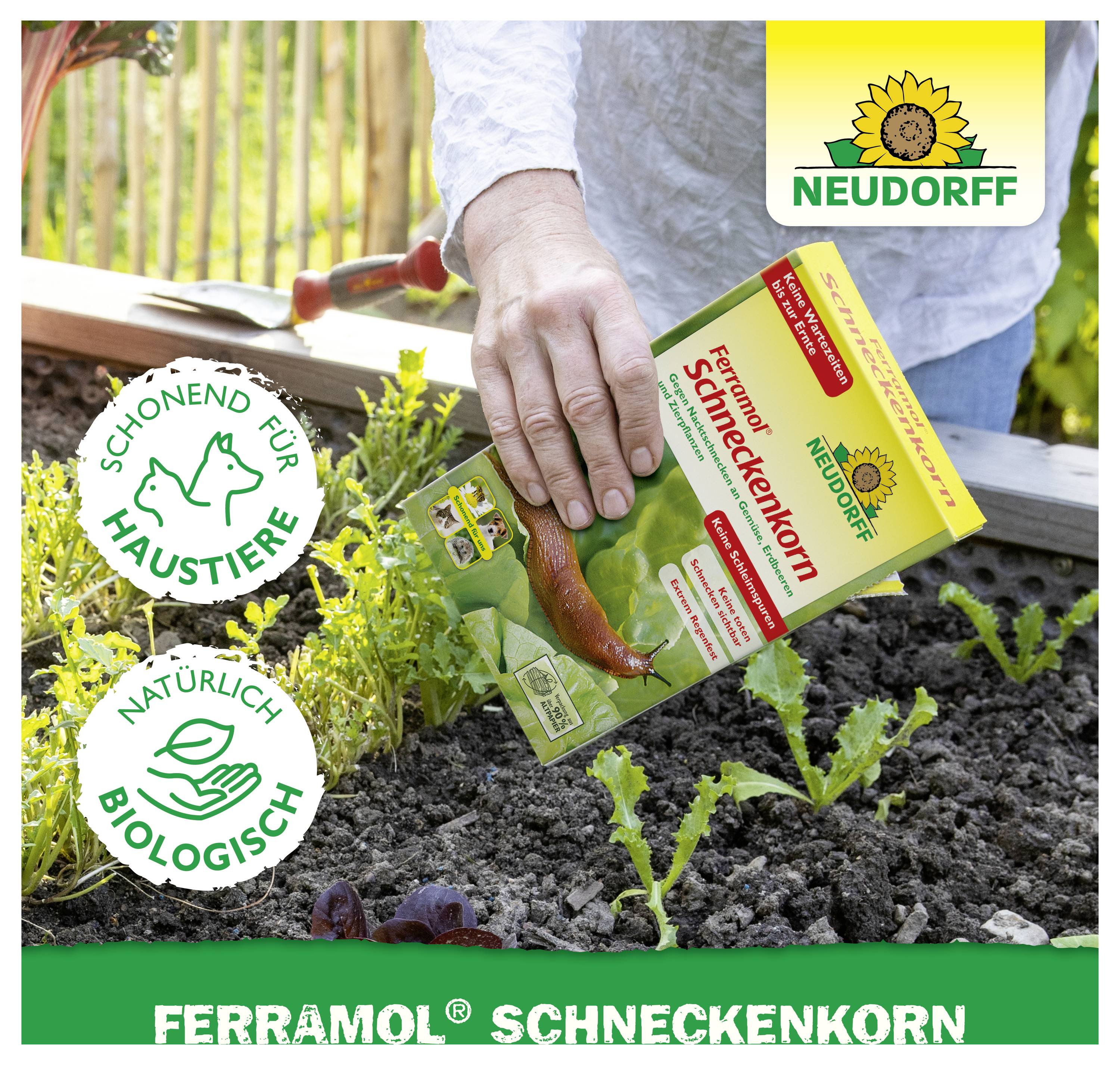 Person streut Neudorff Ferramol Schneckenkorn im Gartenbeet; Produkt für Haustiere schonend und natürlich biologisch, gegen Schnecken.