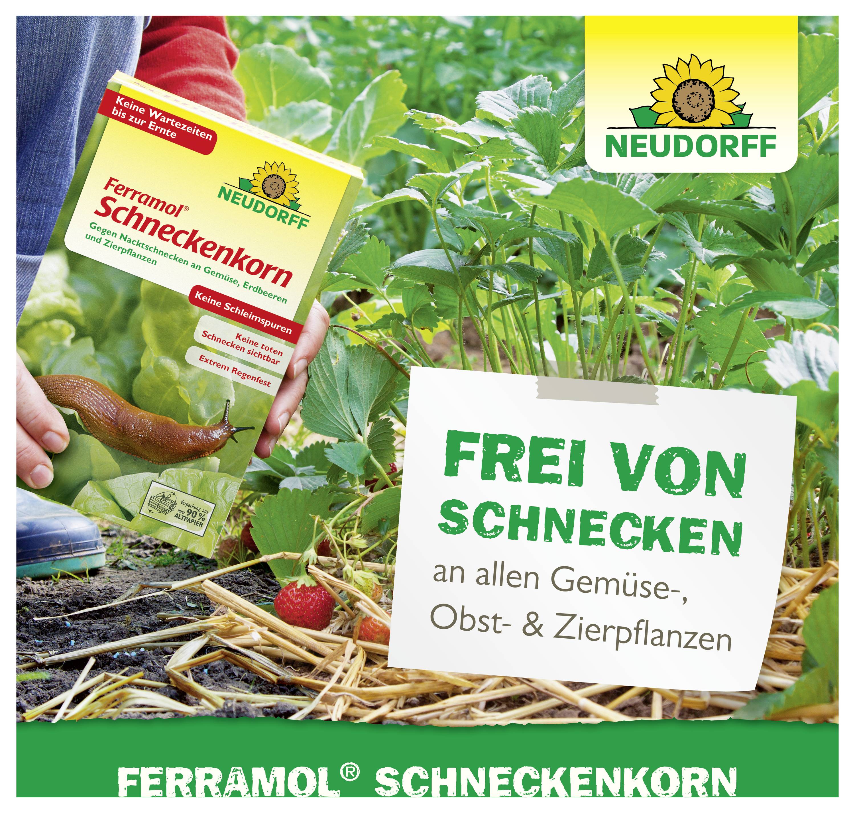 Werbung für Ferramol Schneckenkorn von Neudorff: Produkt gegen Schnecken an Gemüse-, Obst- und Zierpflanzen, mit Garten und Schild 'FREI VON SCHNECKEN'.