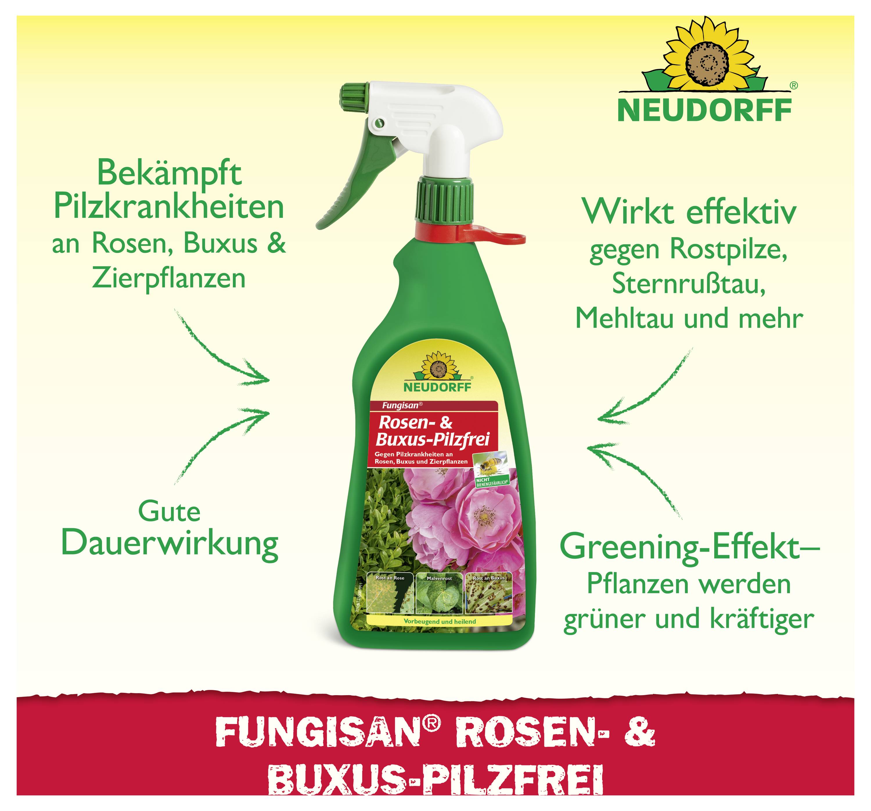 Werbeanzeige für Neudorff Fungisan Rosen- & Buxus-Pilzfrei: Sprühflasche gegen Pilzkrankheiten, mit Hinweisen zu Dauerwirkung und Greening-Effekt.