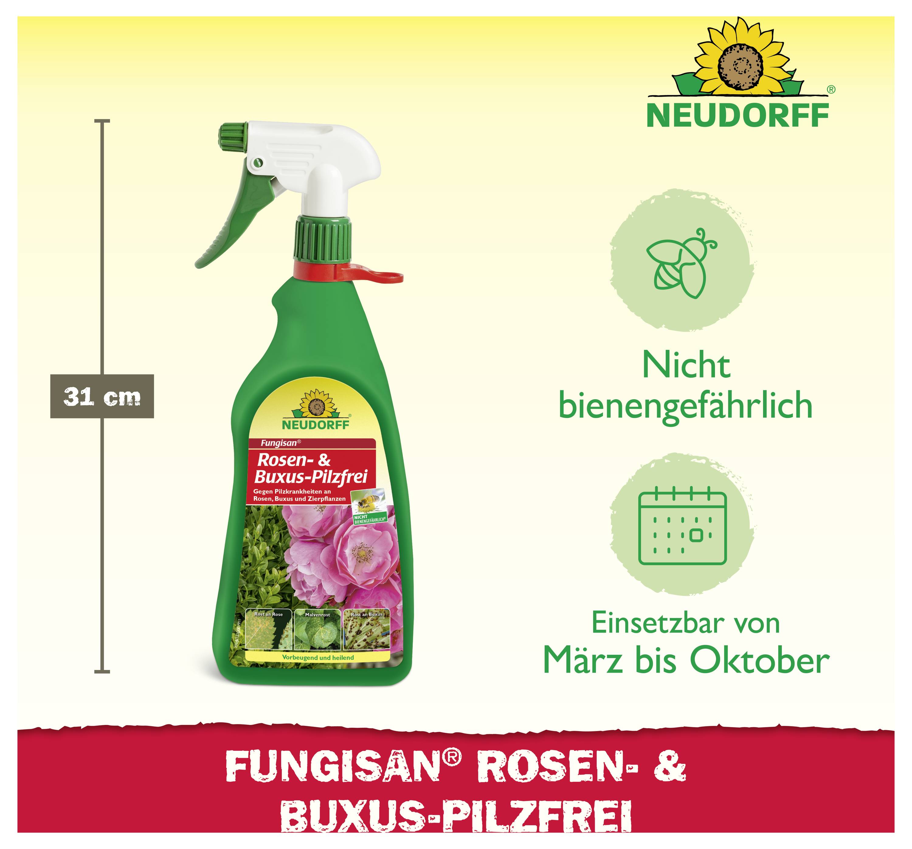 Produktbild eines Neudorff-Sprühfläschchens 'Fungisan Rosen- & Buxus-Pilzfrei', 31 cm hoch; Hinweise: 'Nicht bienengefährlich' und 'Einsetzbar von März bis Oktober'.
