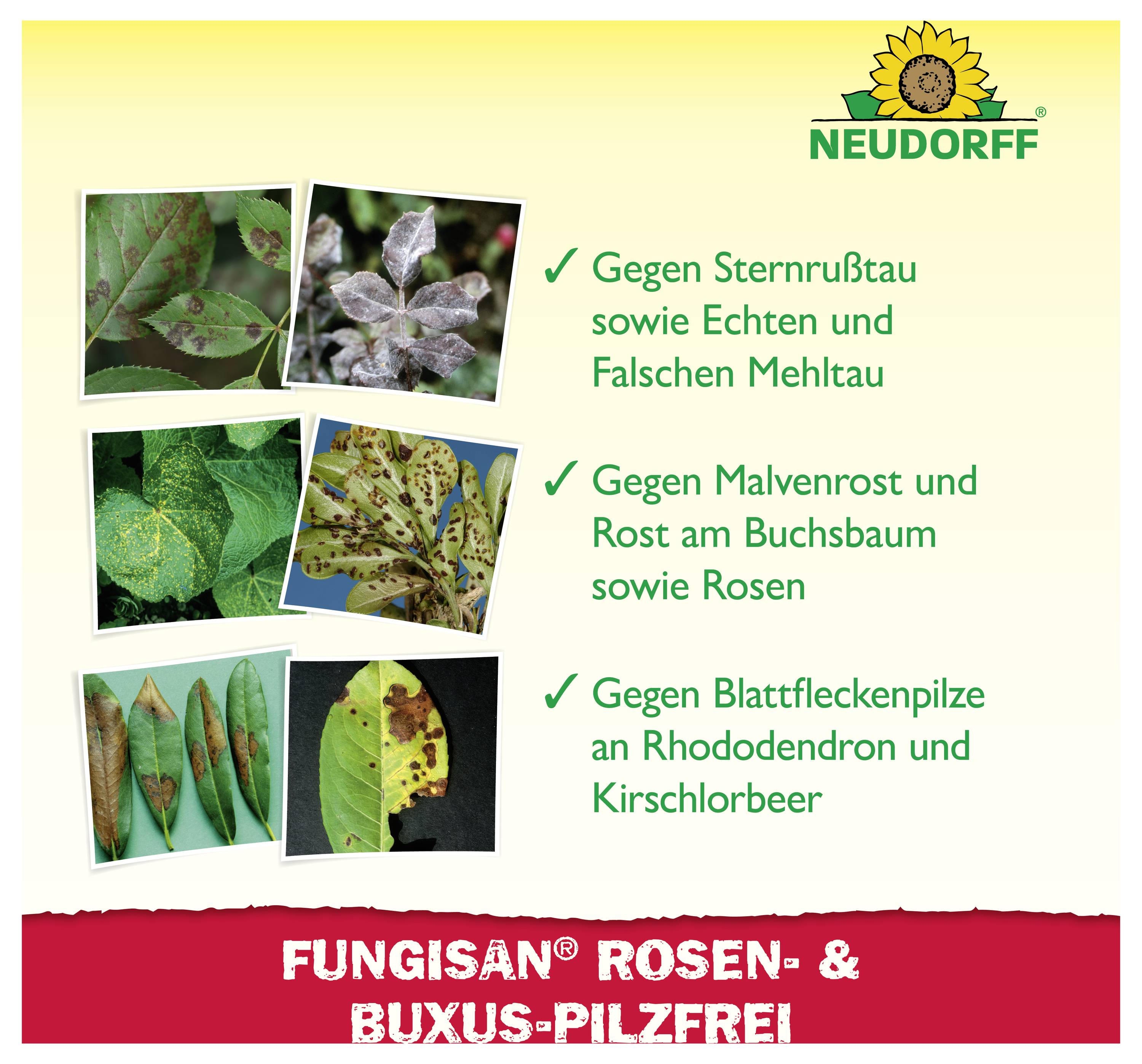 Werbeanzeige für Neudorff Fungisan Rosen- & Buxus-Pilzfrei mit Blattfotos und Text zu bekämpften Pilzkrankheiten an Rosen, Buchsbaum und Rhododendron.