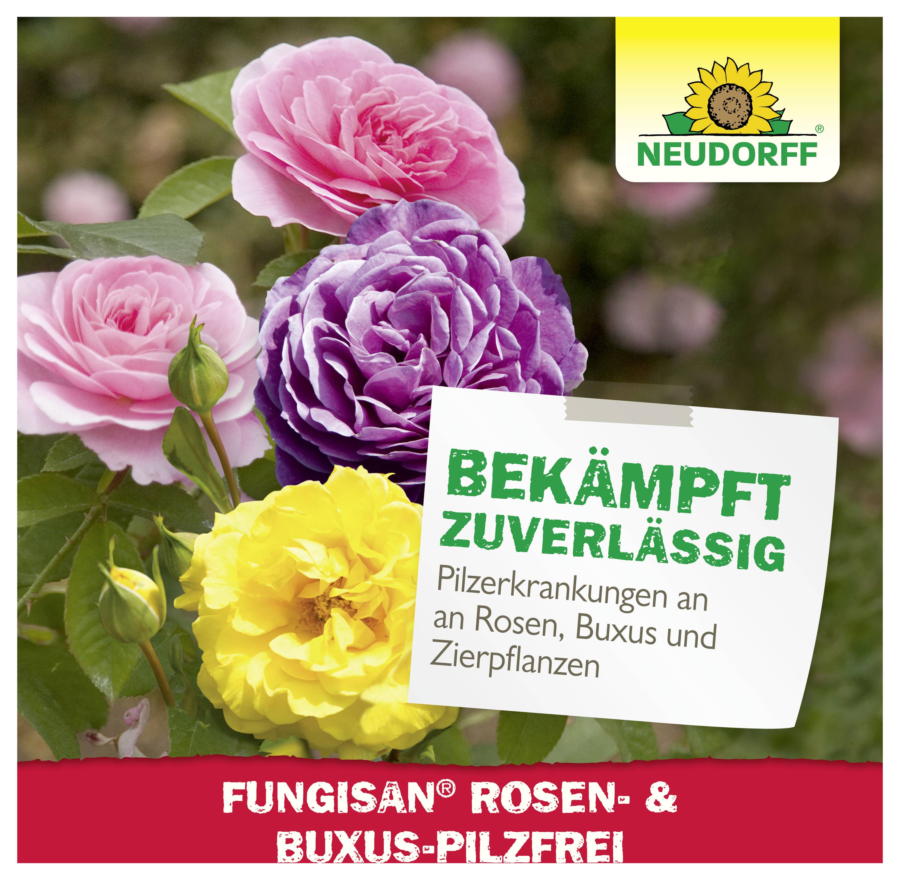 Werbeabbildung für Neudorff Fungisan Rosen- & Buchs-Pilzfrei: Rosenblüten und Text 'Bekämpft zuverlässig Pilzkrankheiten an Rosen, Buchs und Zierpflanzen'.