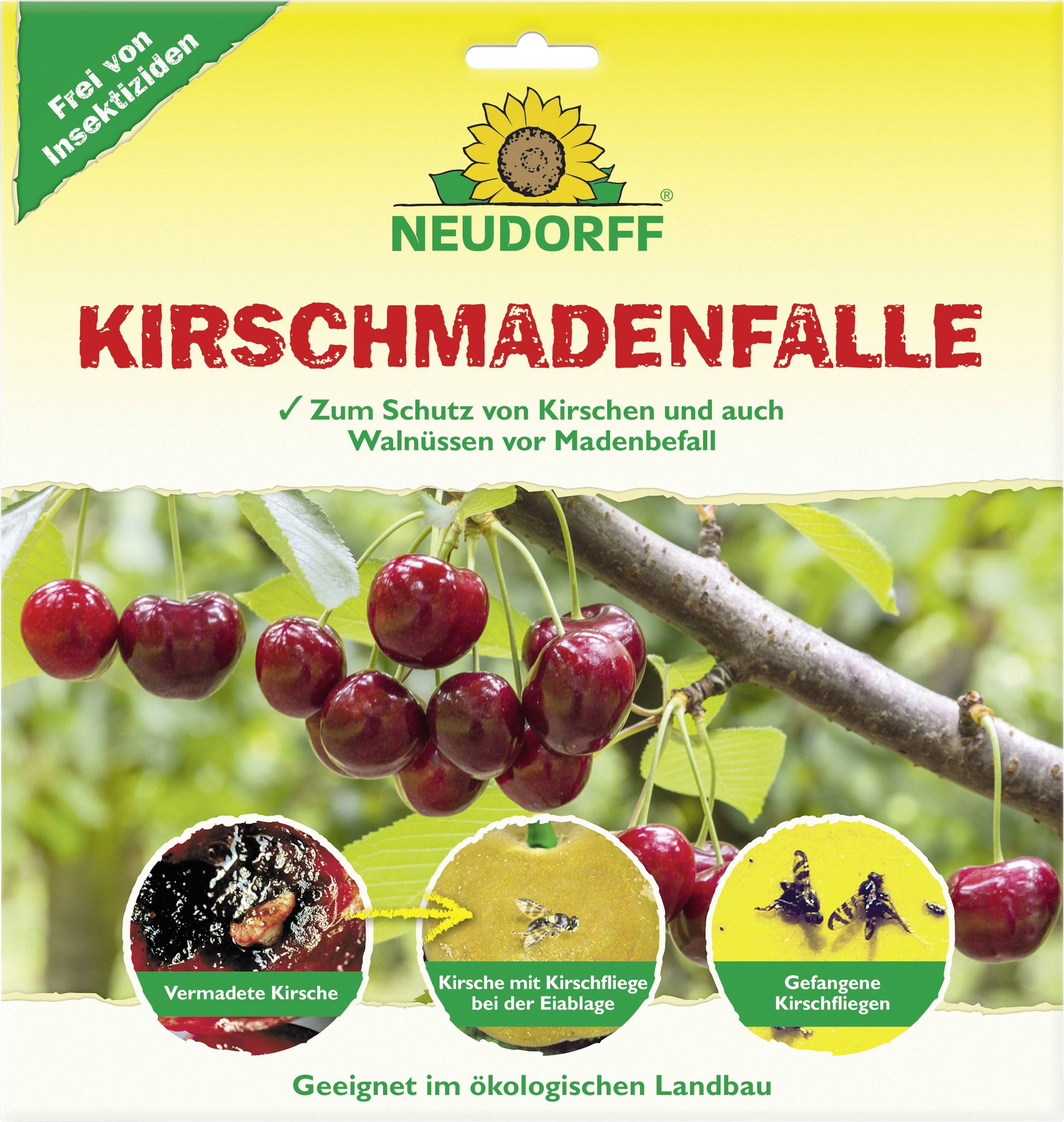 „Neudorff Kirschenmadenfalle