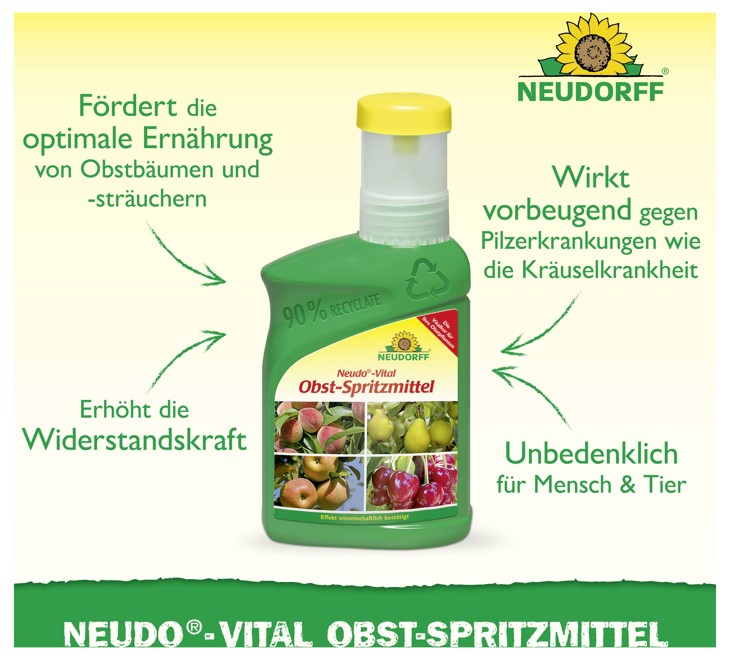 Werbegrafik eines Neudorff-Obst-Spritzmittels: Flasche in der Mitte, mit Hinweisen zu optimaler Ernährung, höherer Widerstandskraft und Vorbeugung gegen Pilzkrankheiten.
