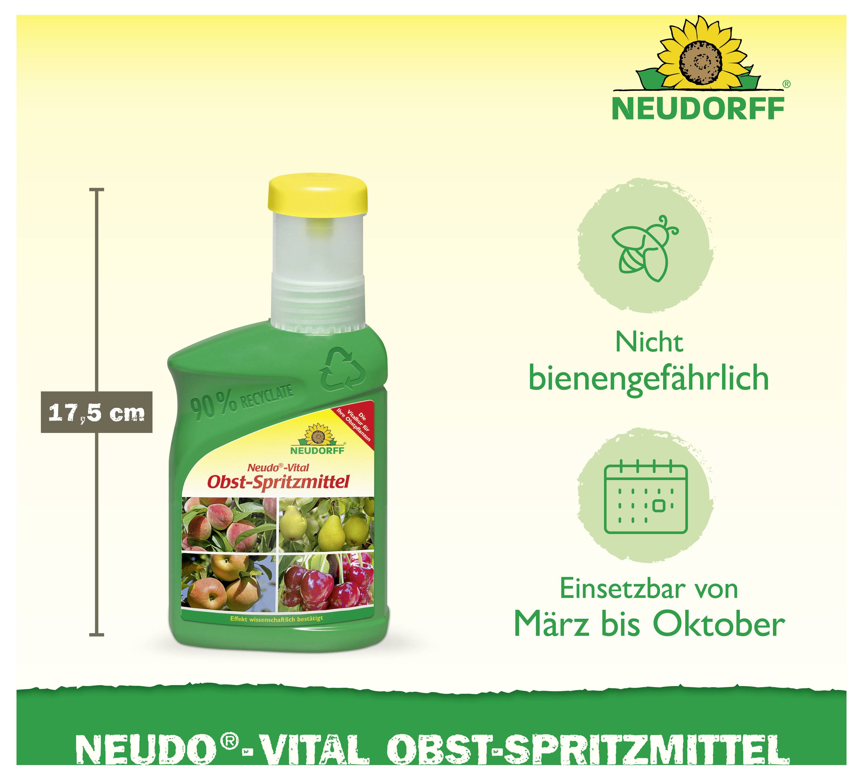 Werbegrafik für Neudorff Obst-Spritzmittel: Flasche mit 17,5 cm Höhe, Hinweis 'Nicht bienengefährlich' und 'Einsetzbar von März bis Oktober'.