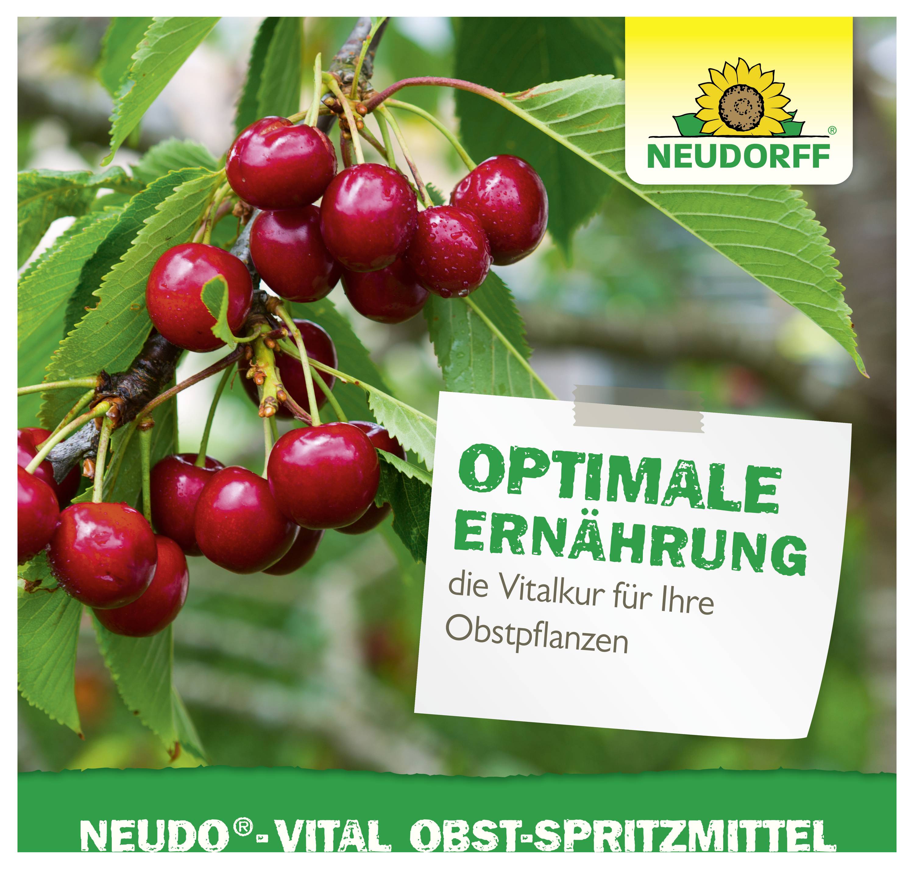 Werbeverpackung für NEUDORF NEUDO-VITAL Obst-Spritzmittel mit Kirschen und Aufschrift 'Optimale Ernährung – die Vitalkur für Ihre Obstpflanzen'