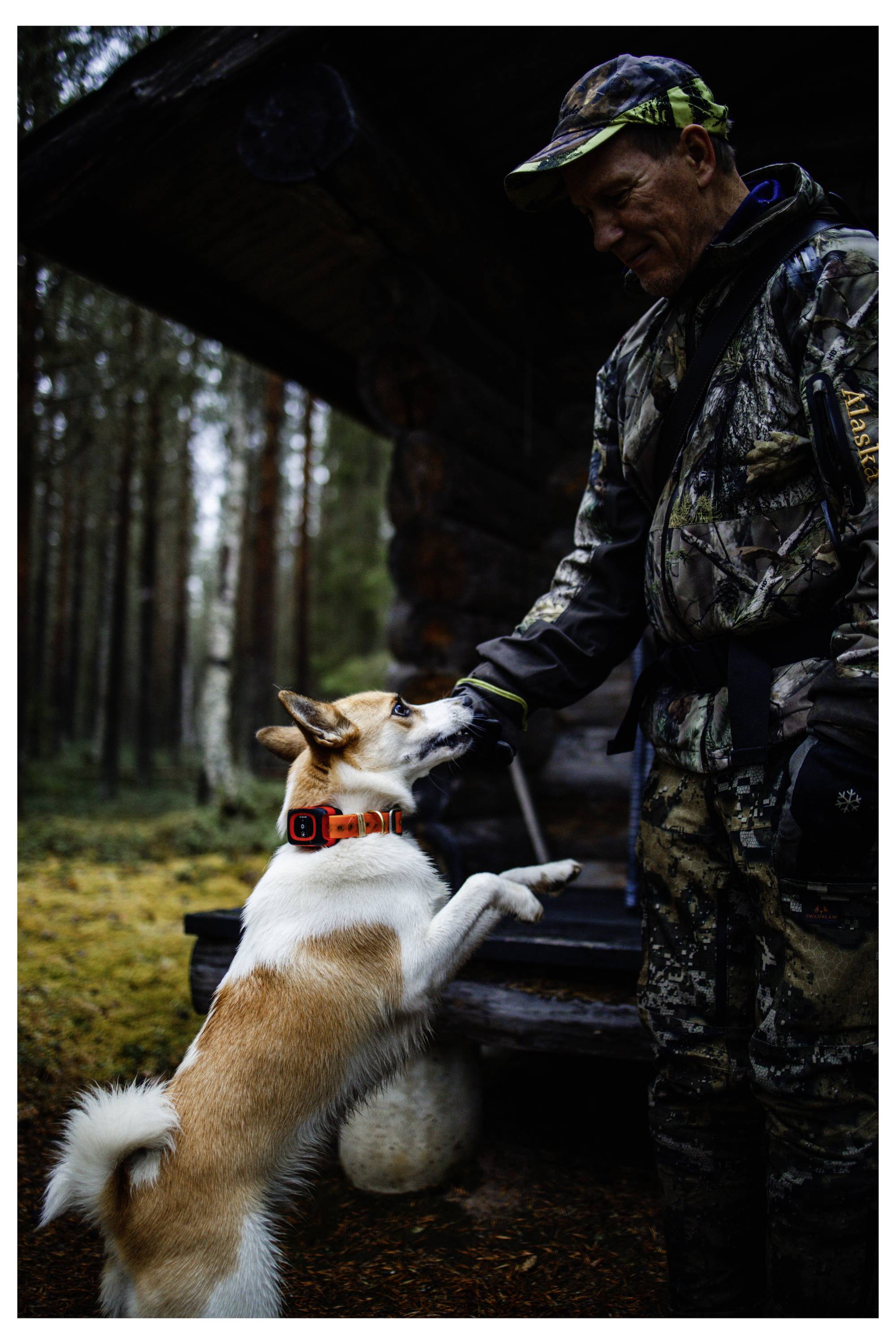 Eine Person in Tarnkleidung steht vor einer Holzhütte und streichelt einen Hund mit orangefarbenem Halsband, umgeben von einer Waldumgebung.