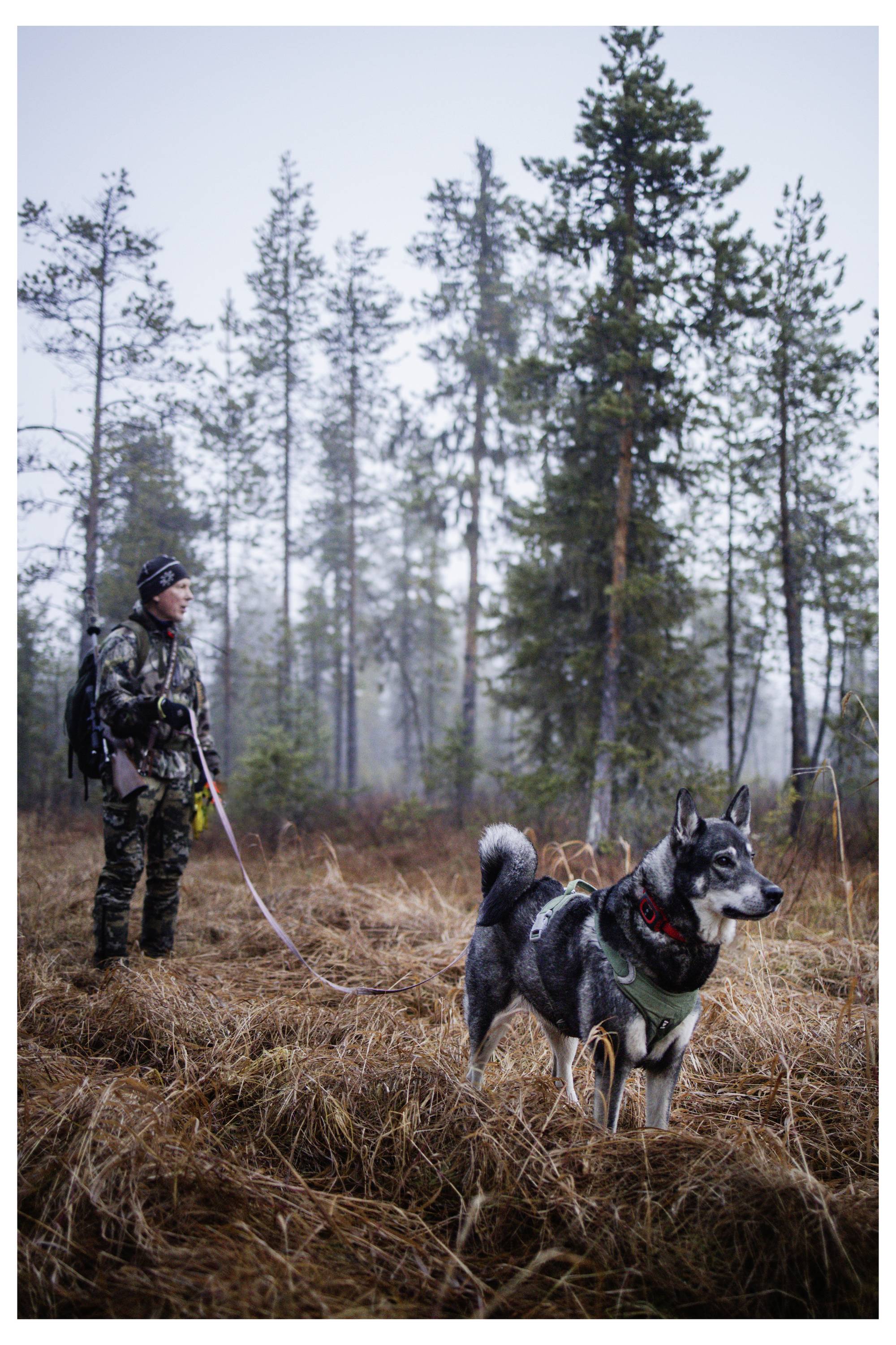 Eine Person in Tarnkleidung, die eine Leine hält, steht mit einem Hund in einem nebeligen Wald, umgeben von hohen Bäumen, was auf ein Outdoor-Abenteuer hindeutet.