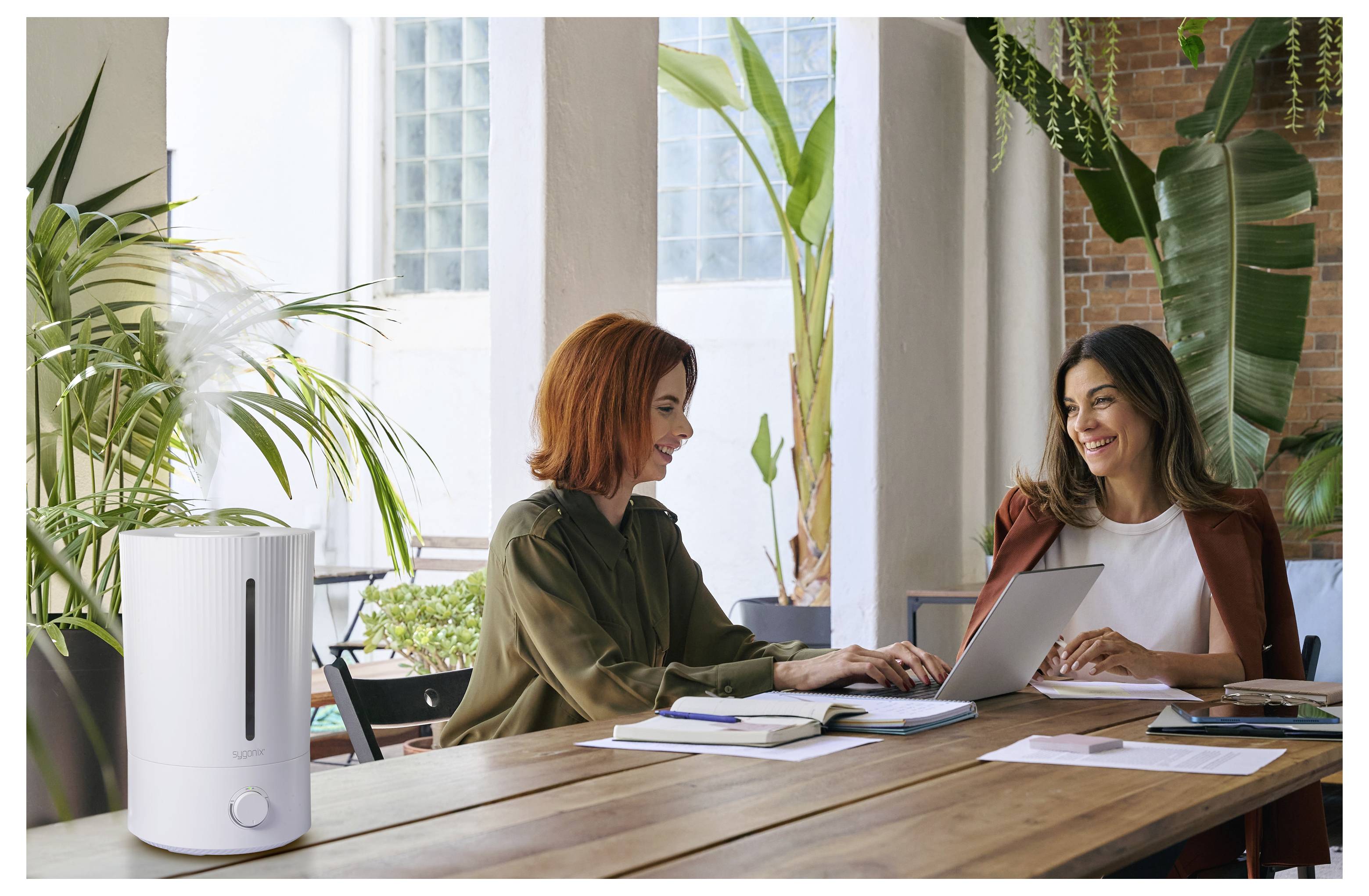Zwei Frauen diskutieren bei der Arbeit an einem Holztisch in einem hellen Büro, mit einem Laptop, Notizbuch und Luftreiniger im Vordergrund.