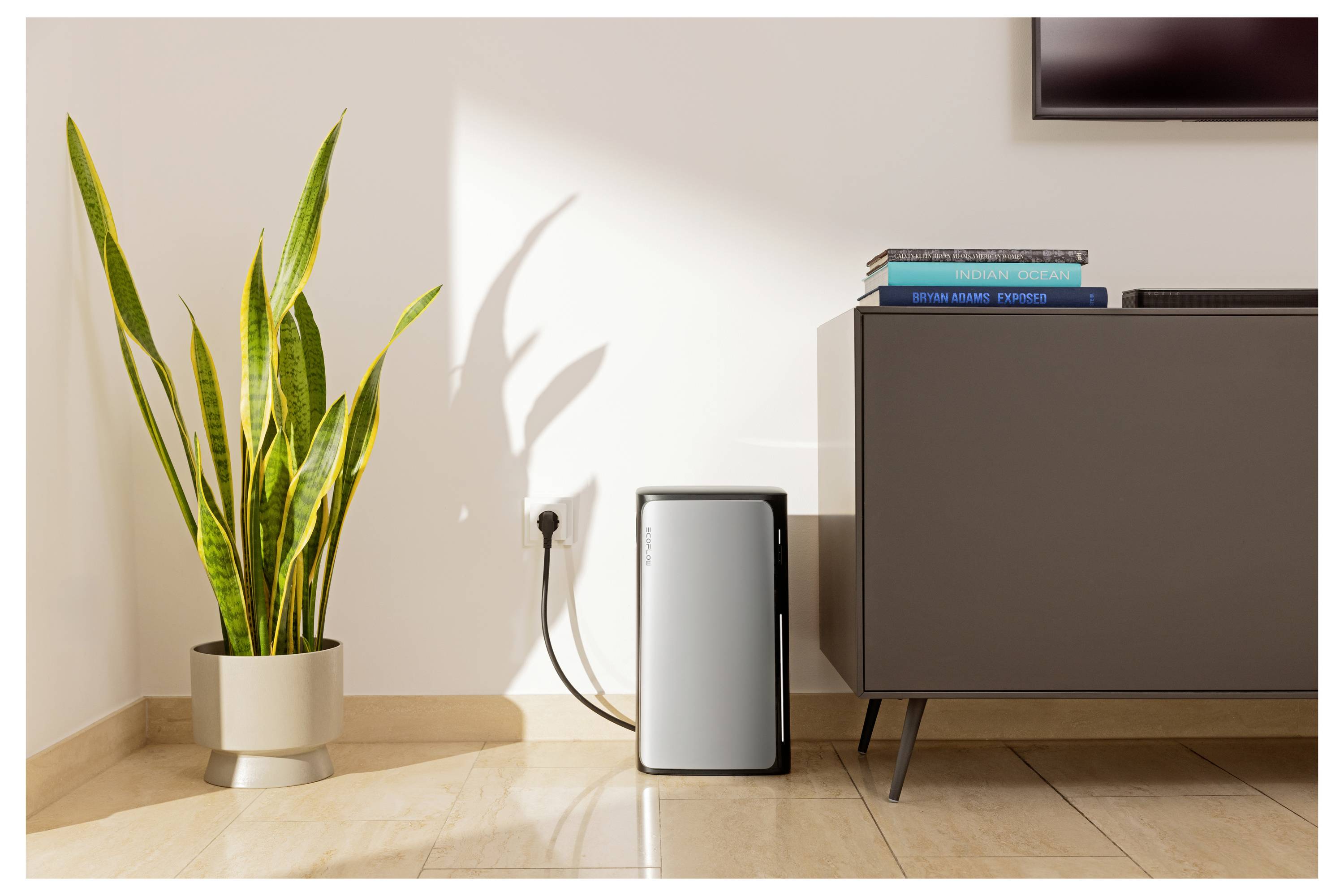 Ein moderner Luftreiniger neben einem grauen Schrank mit Büchern oben drauf und einer großen grünen Pflanze in einem Topf in der Nähe empfängt Sonnenlicht.