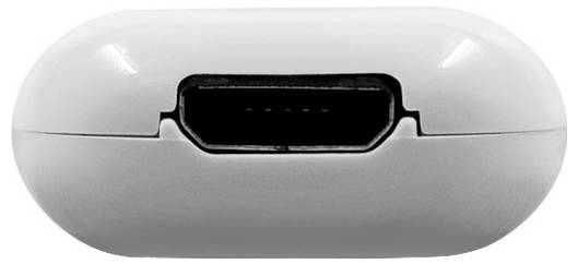 Shelly The Pill Adapter