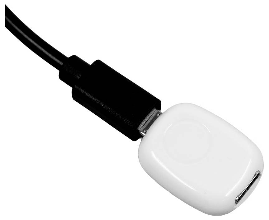 Shelly The Pill Adapter