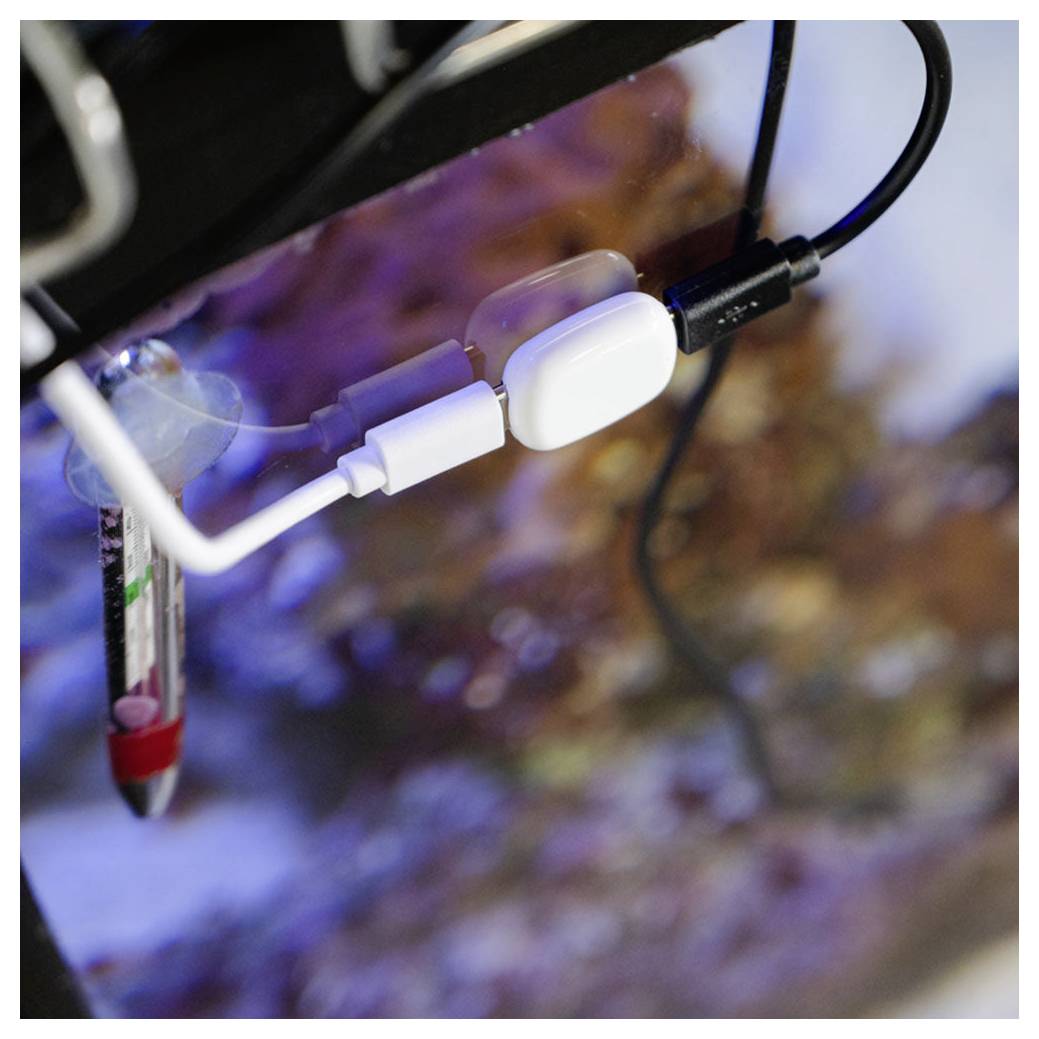 Shelly The Pill Adapter