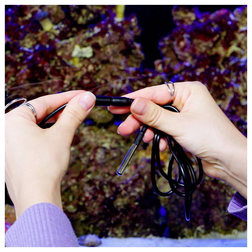 Shelly Temperatursensor DS18B20 3,5 mm Jack 1m Kabel Temperatursensor