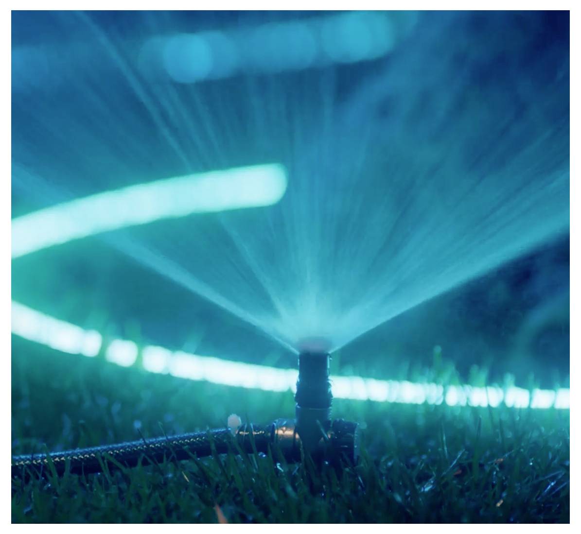 Nahaufnahme eines Gartensprengers, der Wasser in einem gleichmäßigen Kreismuster auf einen Rasen sprüht, illuminiert durch ein weiches Blaugrün-Licht.