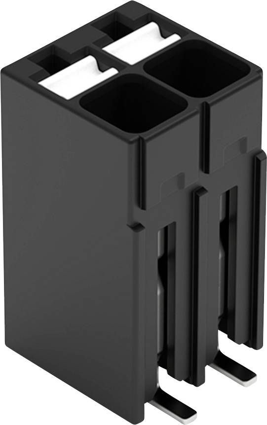 Eine Nahaufnahme eines schwarzen Dual-Inline-Steckers mit Metallstiften, mit zwei Buchsenöffnungen und einem kompakten, rechteckigen Design.