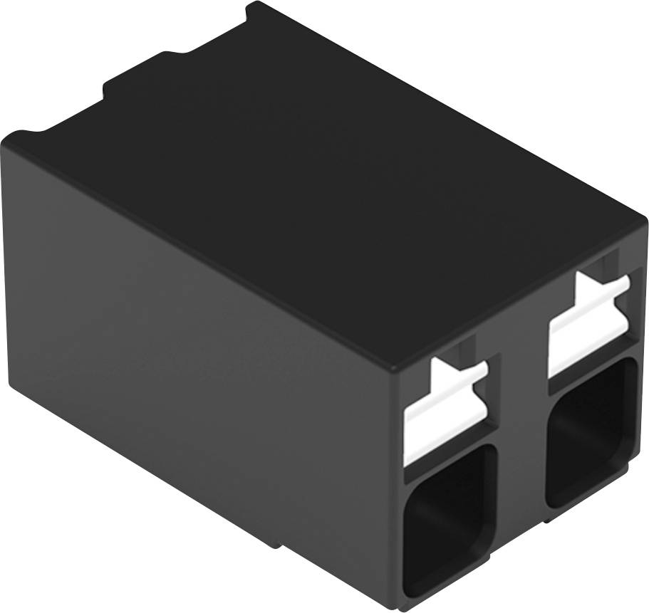 Ein schwarzer rechteckiger Stecker mit zwei weißen Verriegelungsclips und zwei Schlitzen auf der Unterseite zum Verbinden von elektronischen Komponenten.