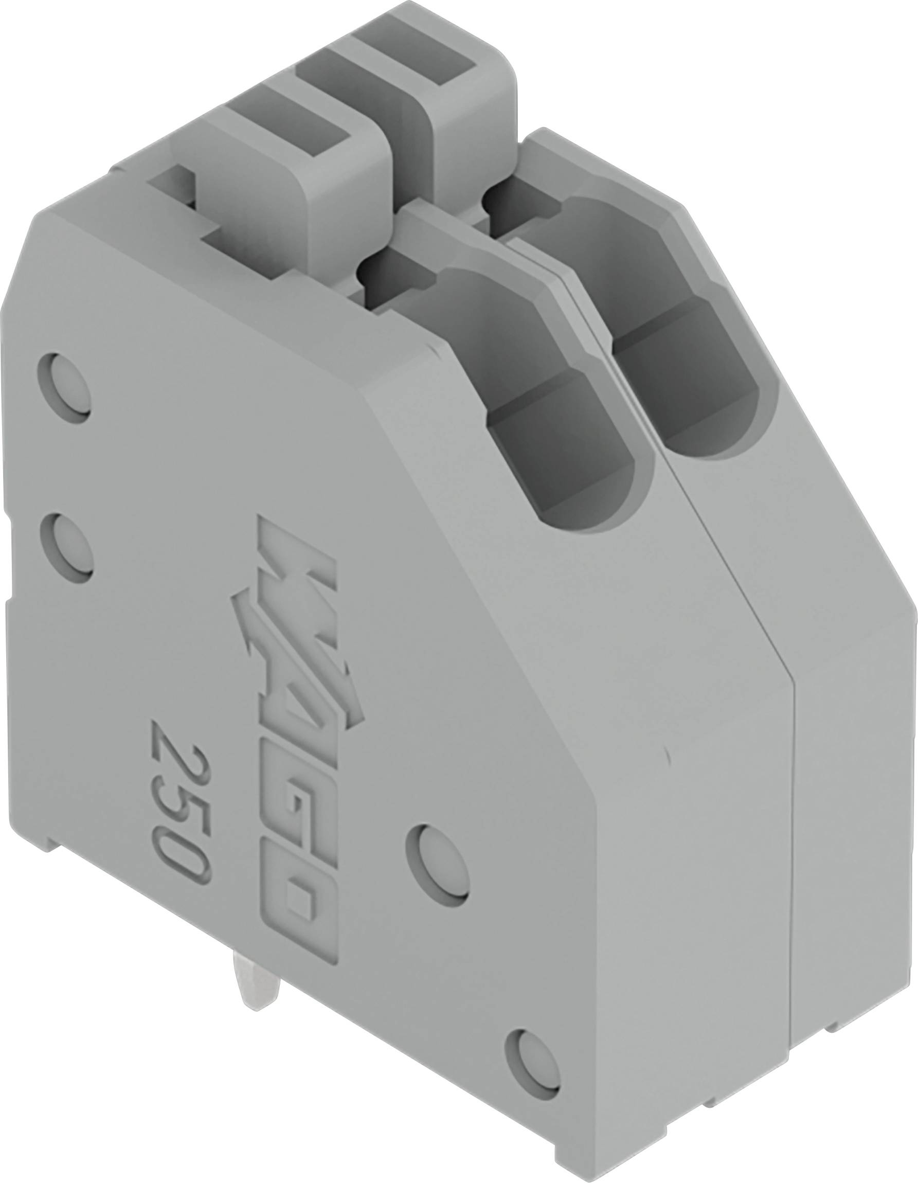 Ein grauer elektrischer Klemmleistenblock mit zwei Anschlüssen und der Nummer „250