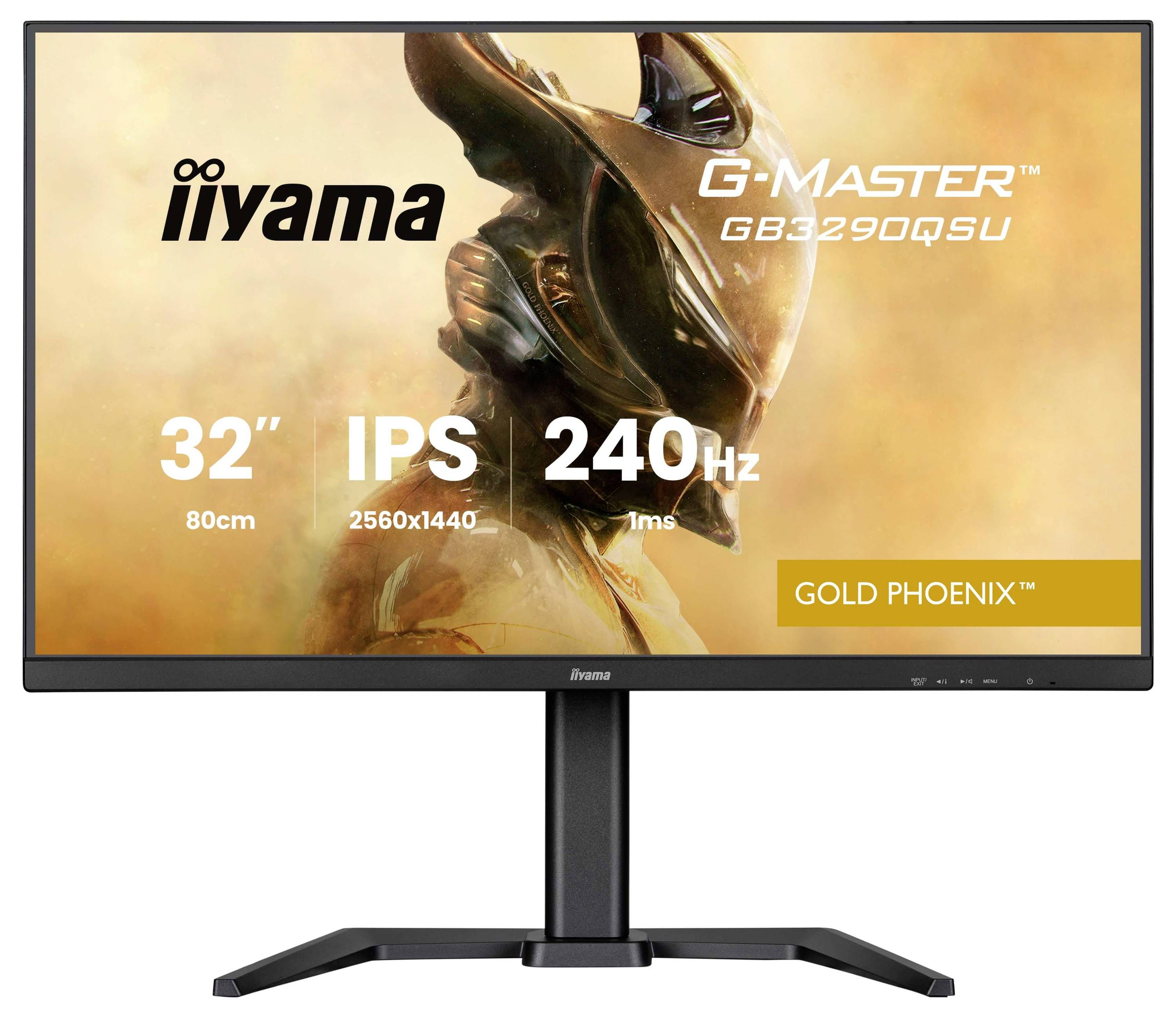 Iiyama G-MASTER Gaming Monitor EEK F (A - G) 80cm (31.5 Zoll) 2560 x 1440 Pixel 16:9 1 ms IPS LED