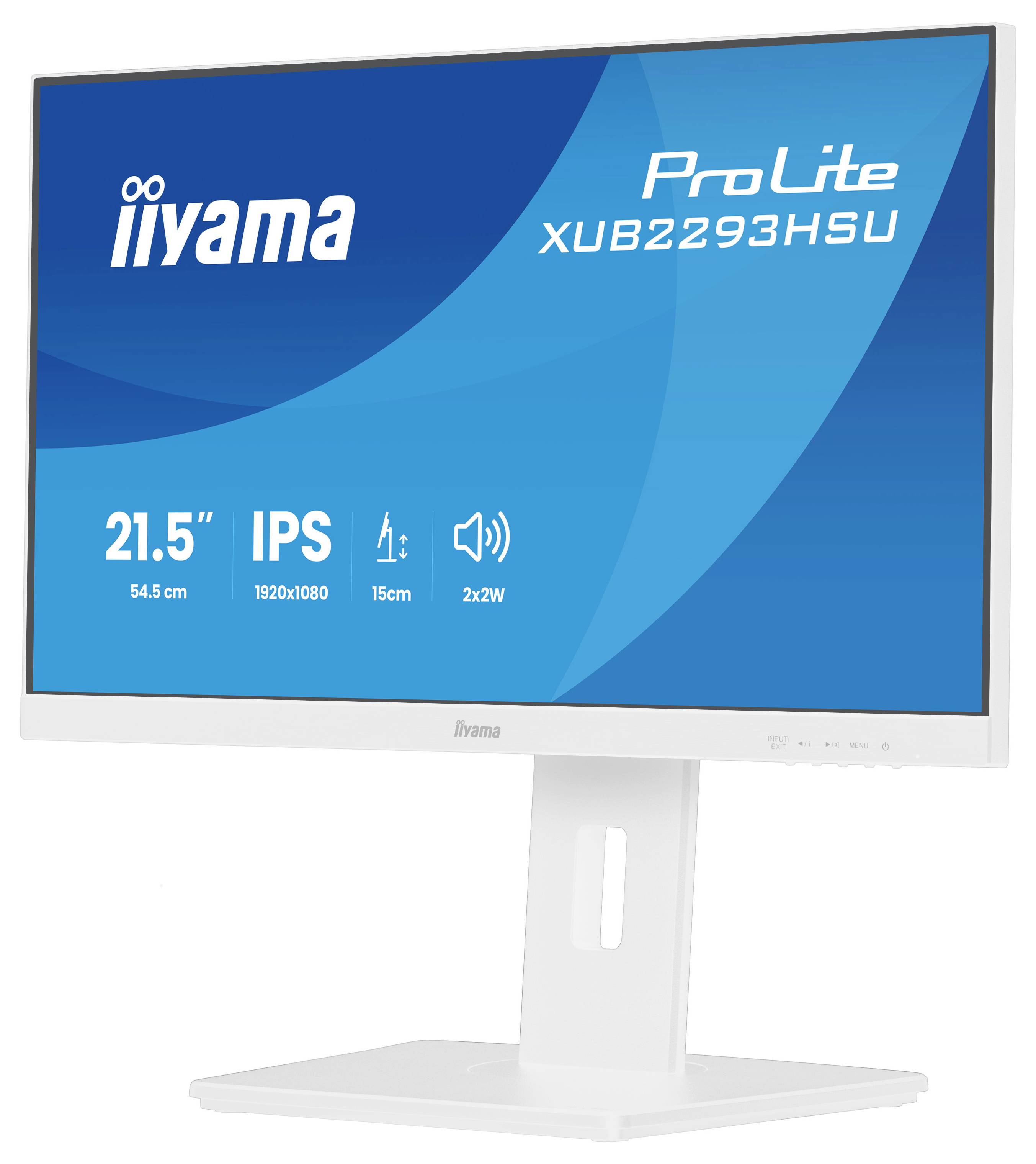 Ein Computermonitor mit der Marke „iiyama
