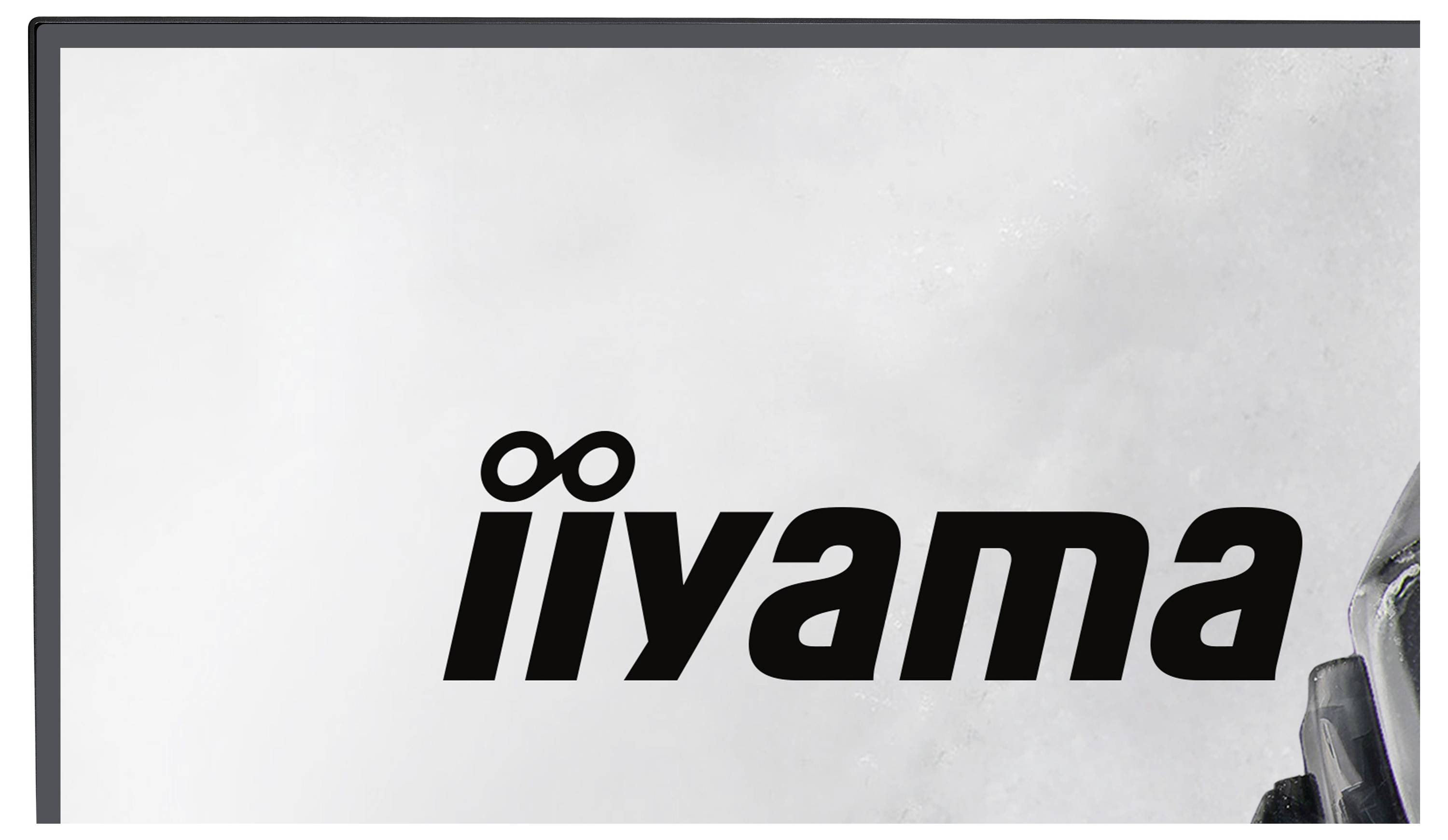 Ein Monitor zeigt das „iiyama