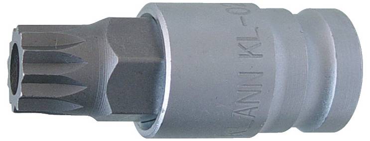 Ein metallisches Stecknussbit mit sternförmigem Ende, typischerweise zum Anziehen oder Lösen von Torx-Schrauben verwendet.