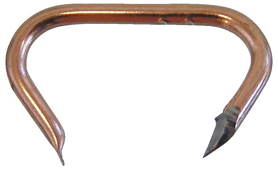 Ein Kupferheftklammer mit spitzen Enden, die üblicherweise zum Befestigen von Kabeln oder Drähten an Oberflächen verwendet wird.