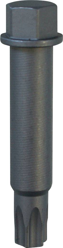 Ein Metalwerkzeug mit einem sechskantigen Schraubenkopf und einem texturierten zylindrischen Schaft, der in einer Zahnverzahnungsspitze endet, verwendet zum Befestigen oder Montieren von Teilen.