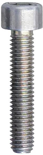 Ein Nahaufnahmebild einer Metallschraube mit sechskantiger Kopf und gewindeförmigem Schaft, der zum Befestigen von Materialien verwendet wird.