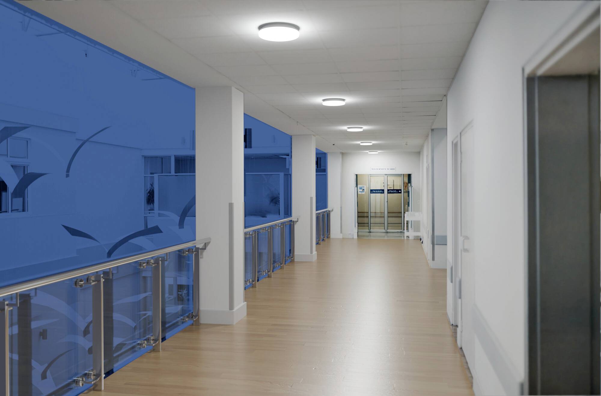 Ein Korridor in einem Gebäude mit blaugetönten Glaswänden, Holzfußboden und Deckenleuchten. Ein Aufzug ist am Ende des Flurs sichtbar.
