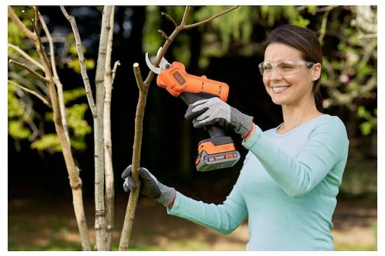 Eine Person, die eine Schutzbrille und Handschuhe trägt, verwendet eine elektrische Heckenschere, um Äste von einem Baum in einer Gartenanlage zu schneiden.