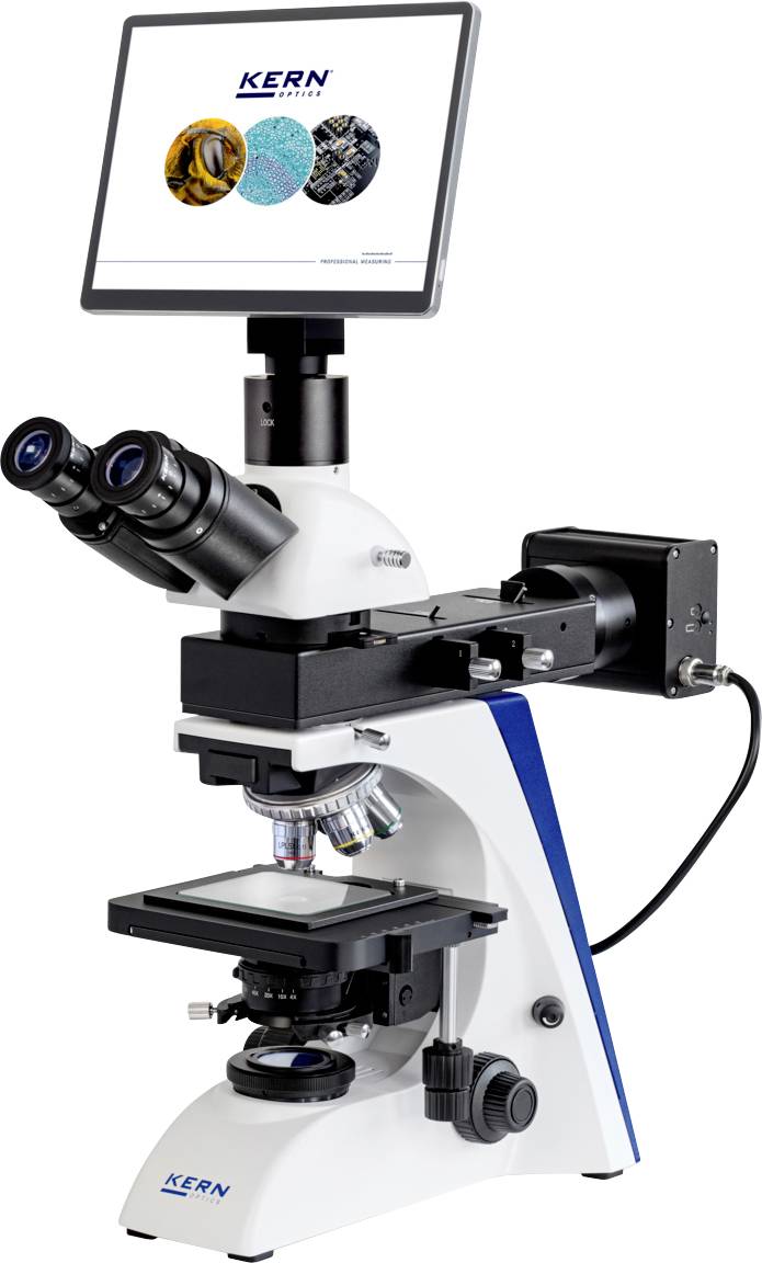 Ein Labormikroskop mit digitaler Anzeige, die Zellbilder anzeigt; geeignet für wissenschaftliche Forschung und Analyse.